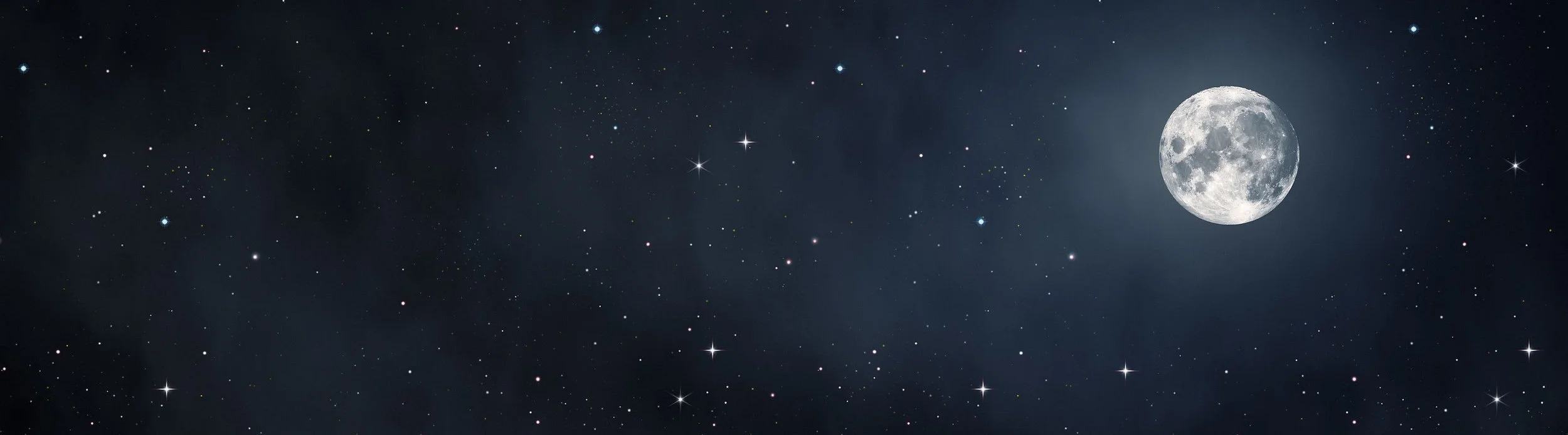 Website Header 2.jpg