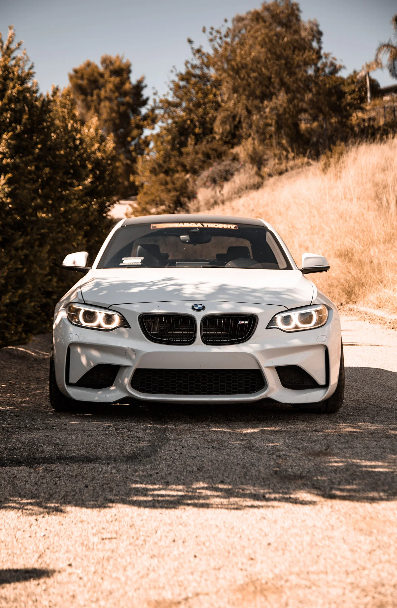Alex's M2