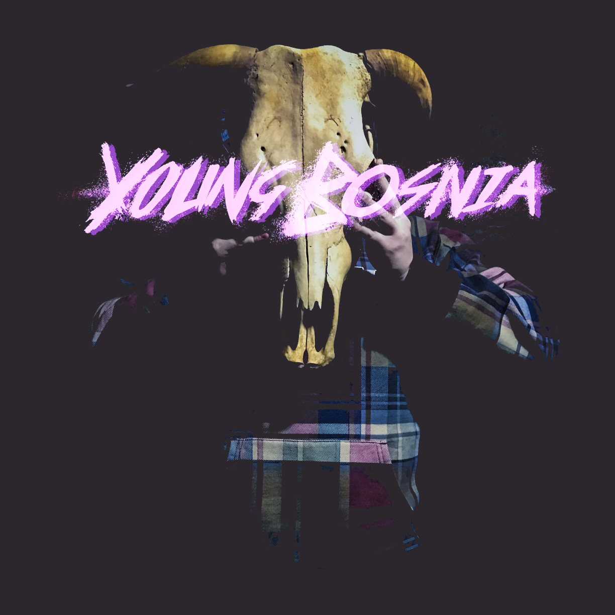 YoungBosniaLogoAtl