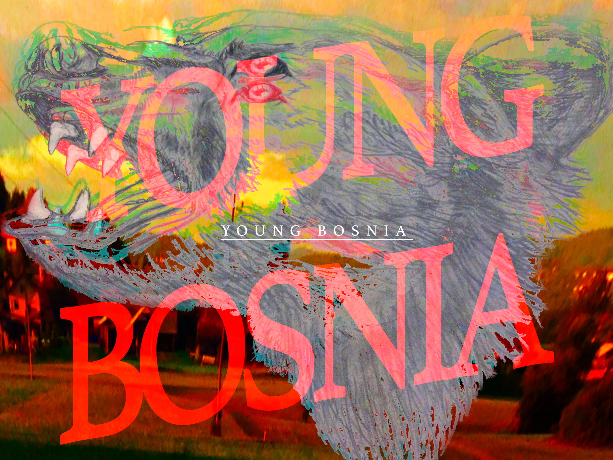 YoungBosniaUrsaMajor