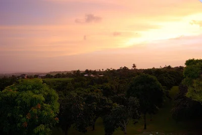 Mango Manor aka "Cloudreach" aka Paradise