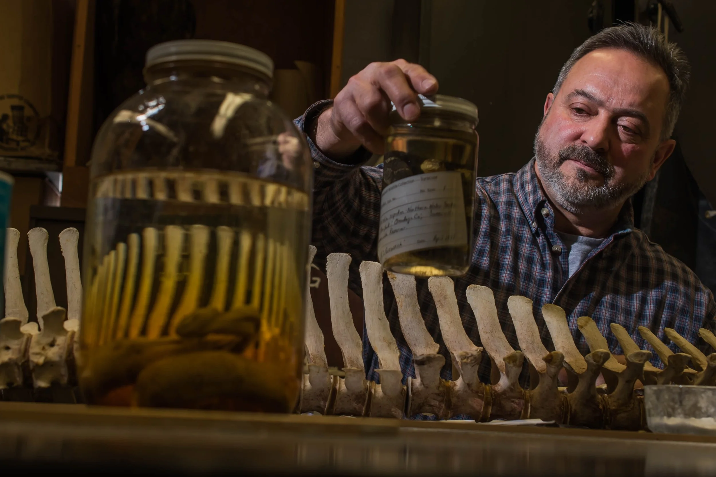 Ron Geigerich-6576.jpg