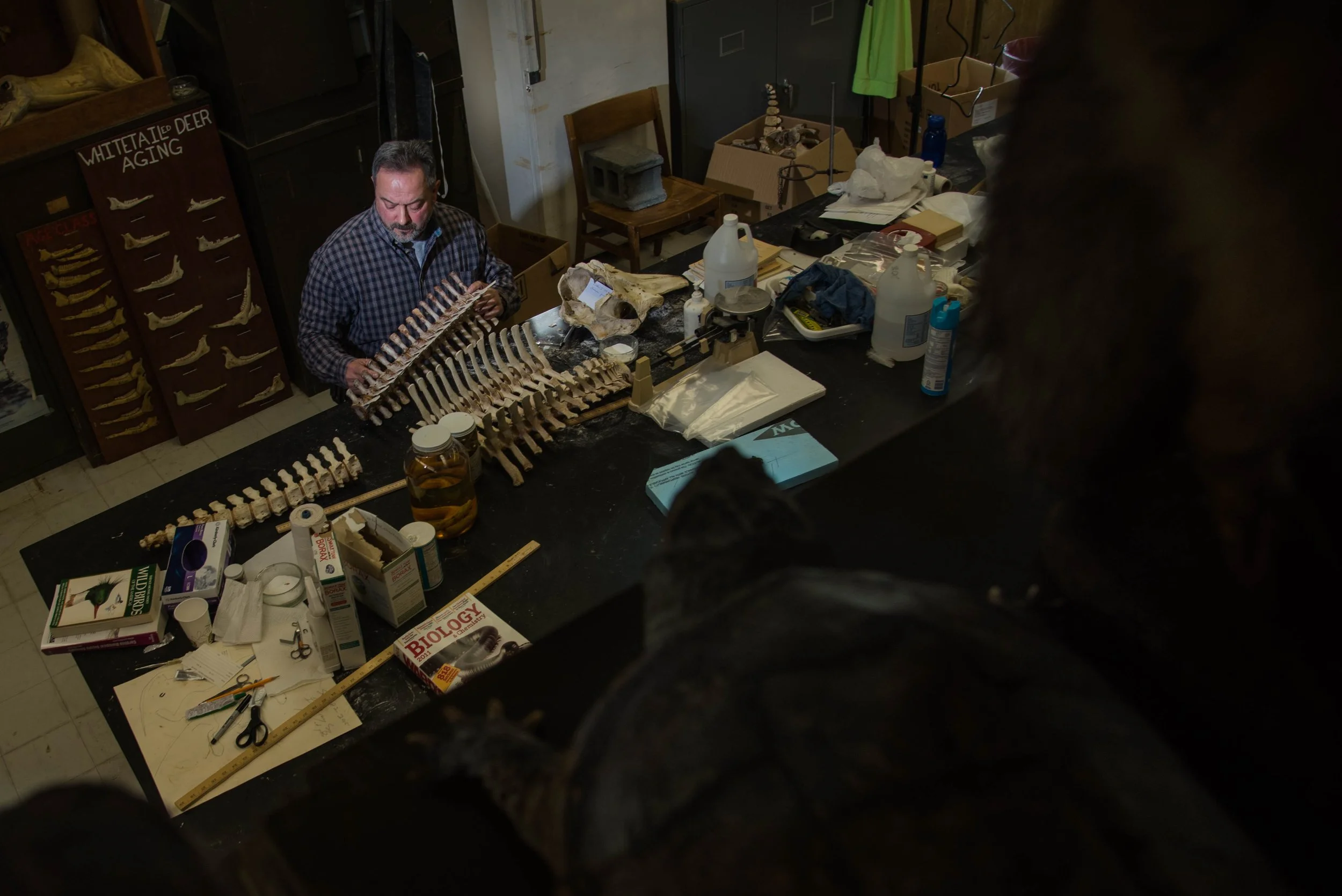 Ron Geigerich-6593.jpg