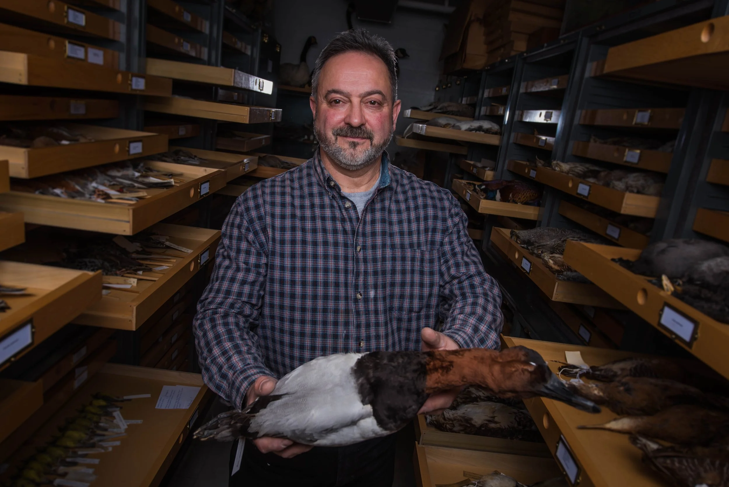 Ron Geigerich-6675.jpg