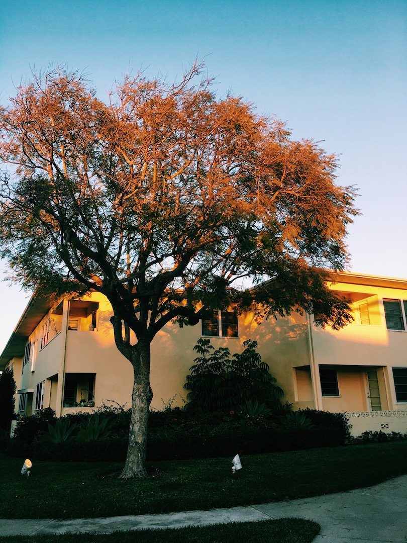 Home Sweet Home. January, you were errveryythang. 