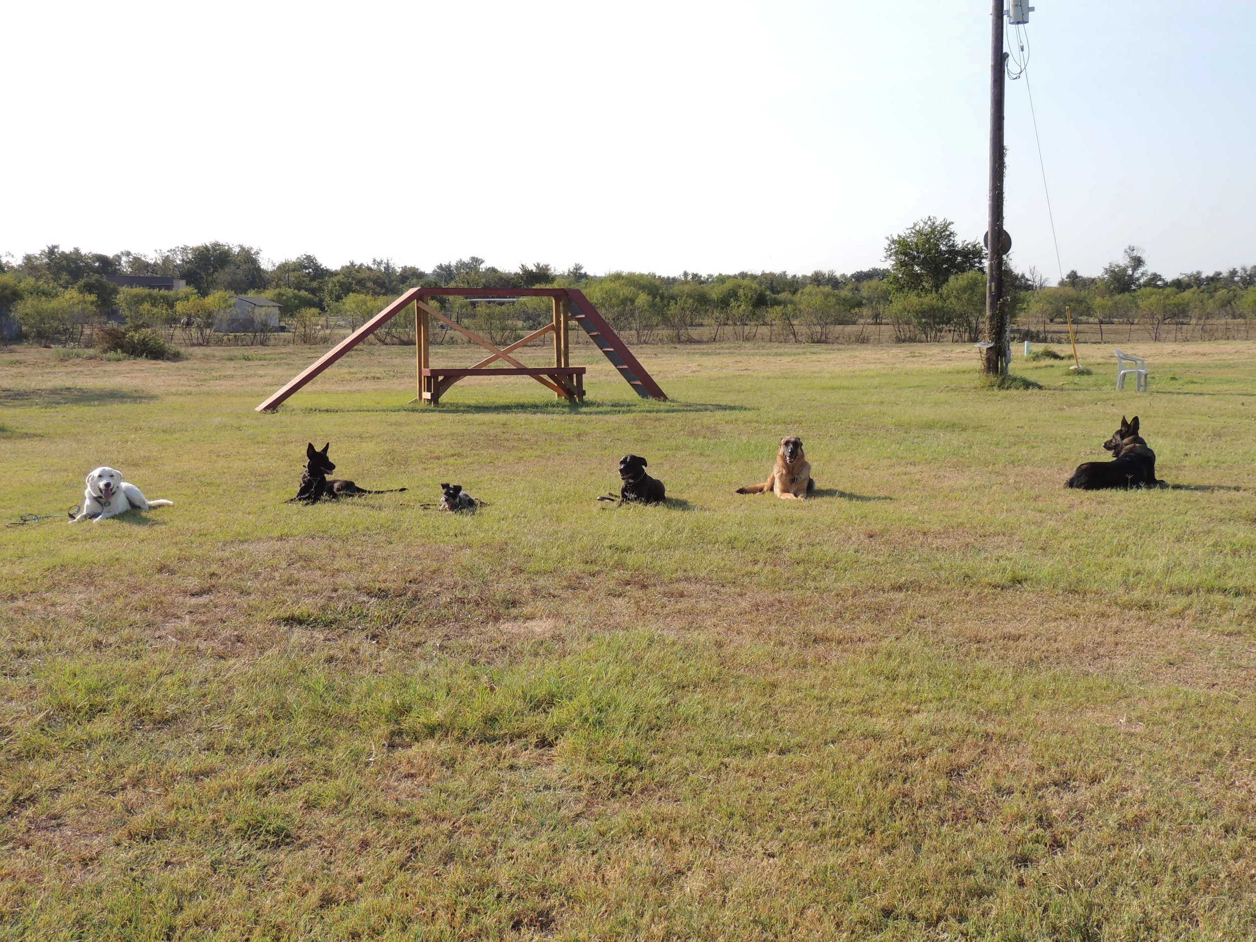 DSCN1098.JPG