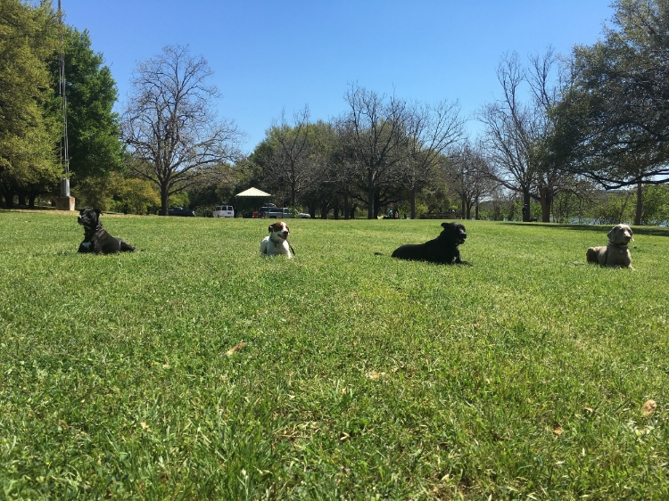 PRACTICING A LONG DOWN STAY AT A DISTANCE