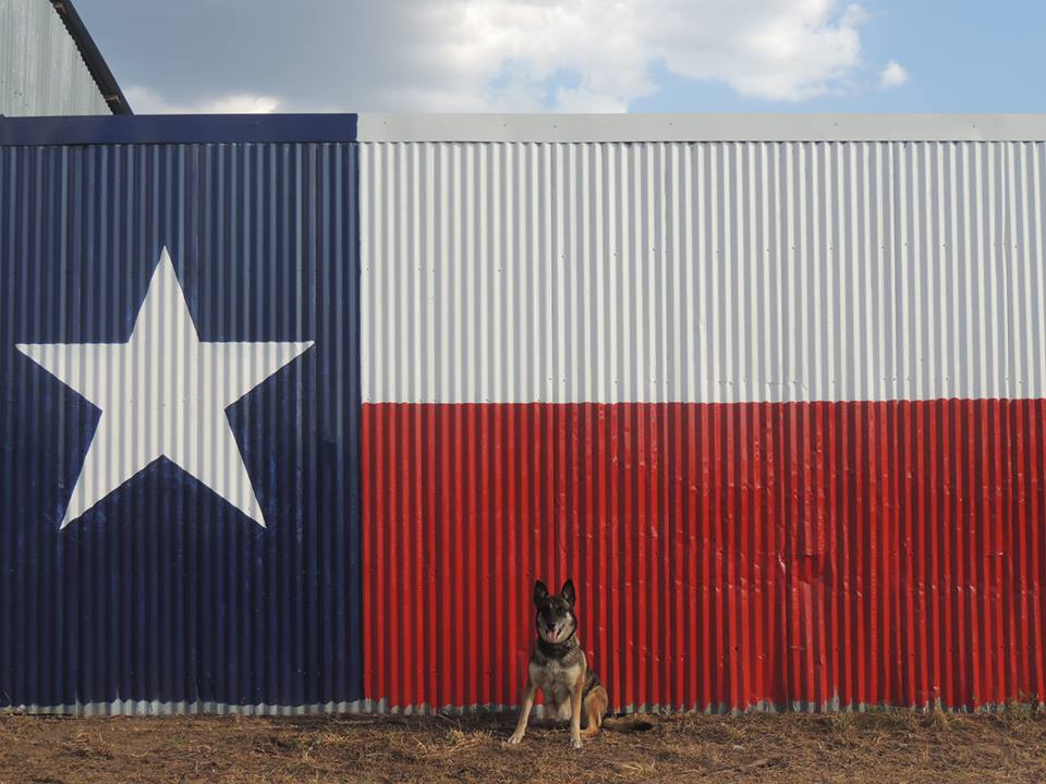 *LANDMARKER* YOU CANNOT MISS THE BARN WITH THE GIANT TEXAS FLAG PAINTED ON IT!