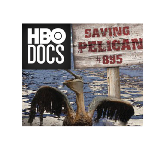  More than 7,000 birds were killed as a result of the April 2010 BP oil spill that spread through the Gulf of Mexico. HBO Documentary Films presents the story of the effort to save the 895th surviving oiled pelican in Louisiana, showing how conservat