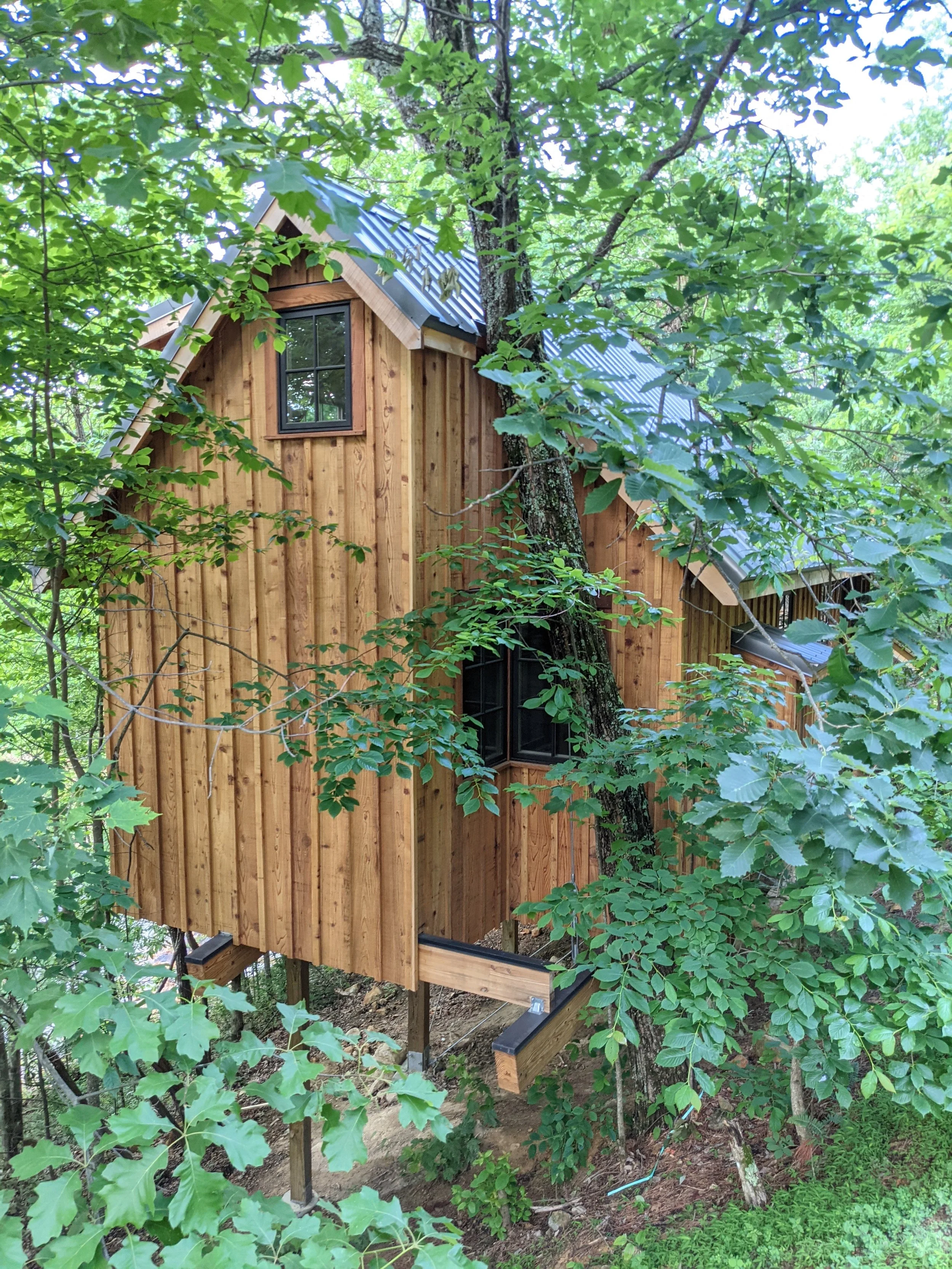 treehouse grove treehouse, 1 of 8 built during year long build in Smoky Mountains 