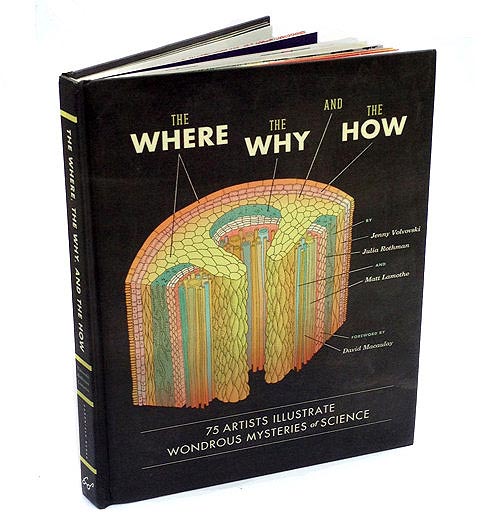 THE WHERE, THE WHY, THE HOW book