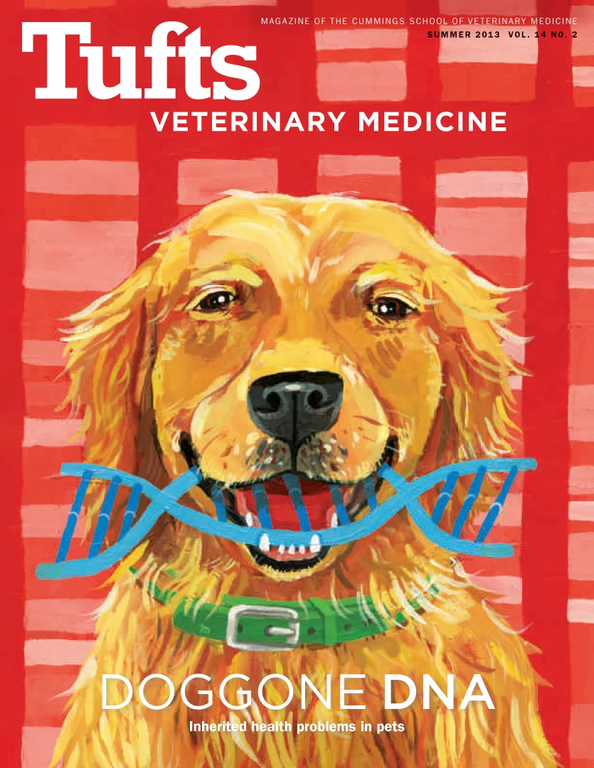 DOGGIE DNA cover illustration