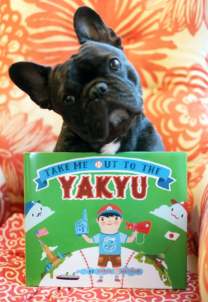 Chubu hopes you like TAKE ME OUT TO THE YAKYU