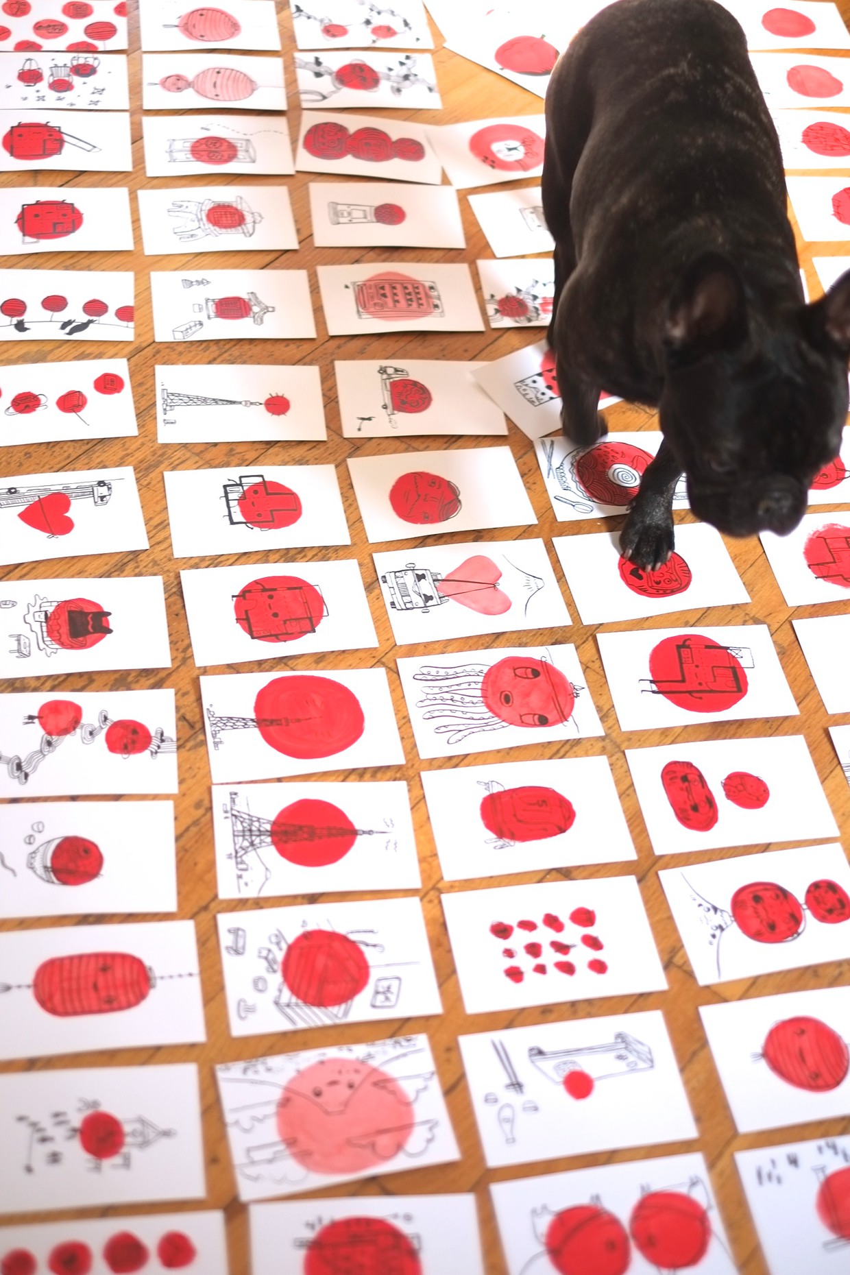  Chubu is a good helper!&nbsp; 