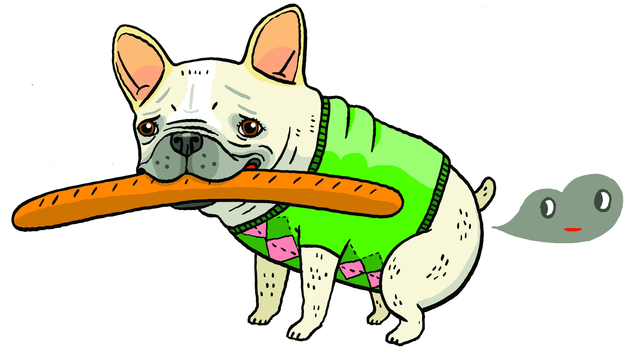 kiki-french-bulldog-color.jpg