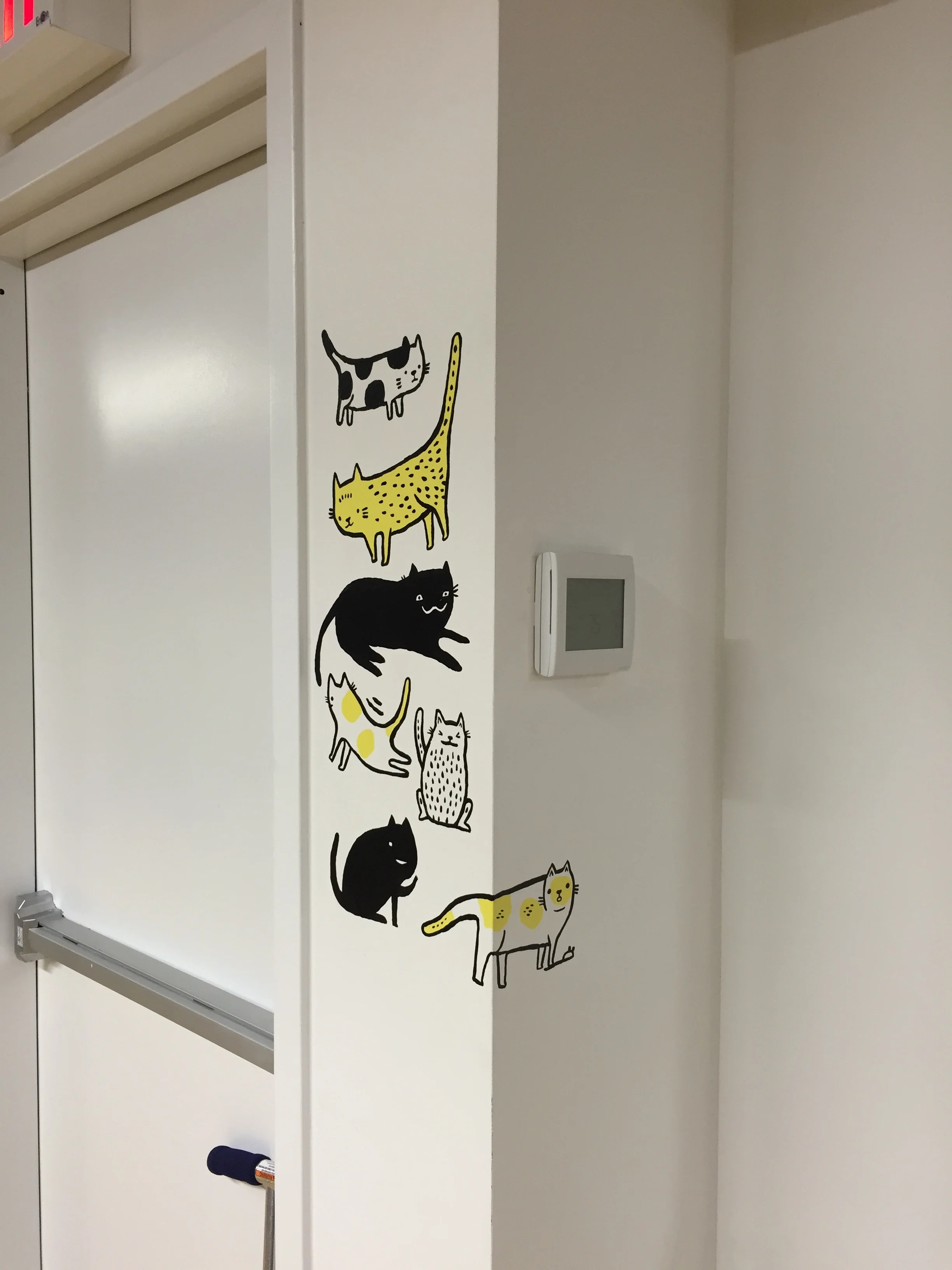  Cats. 