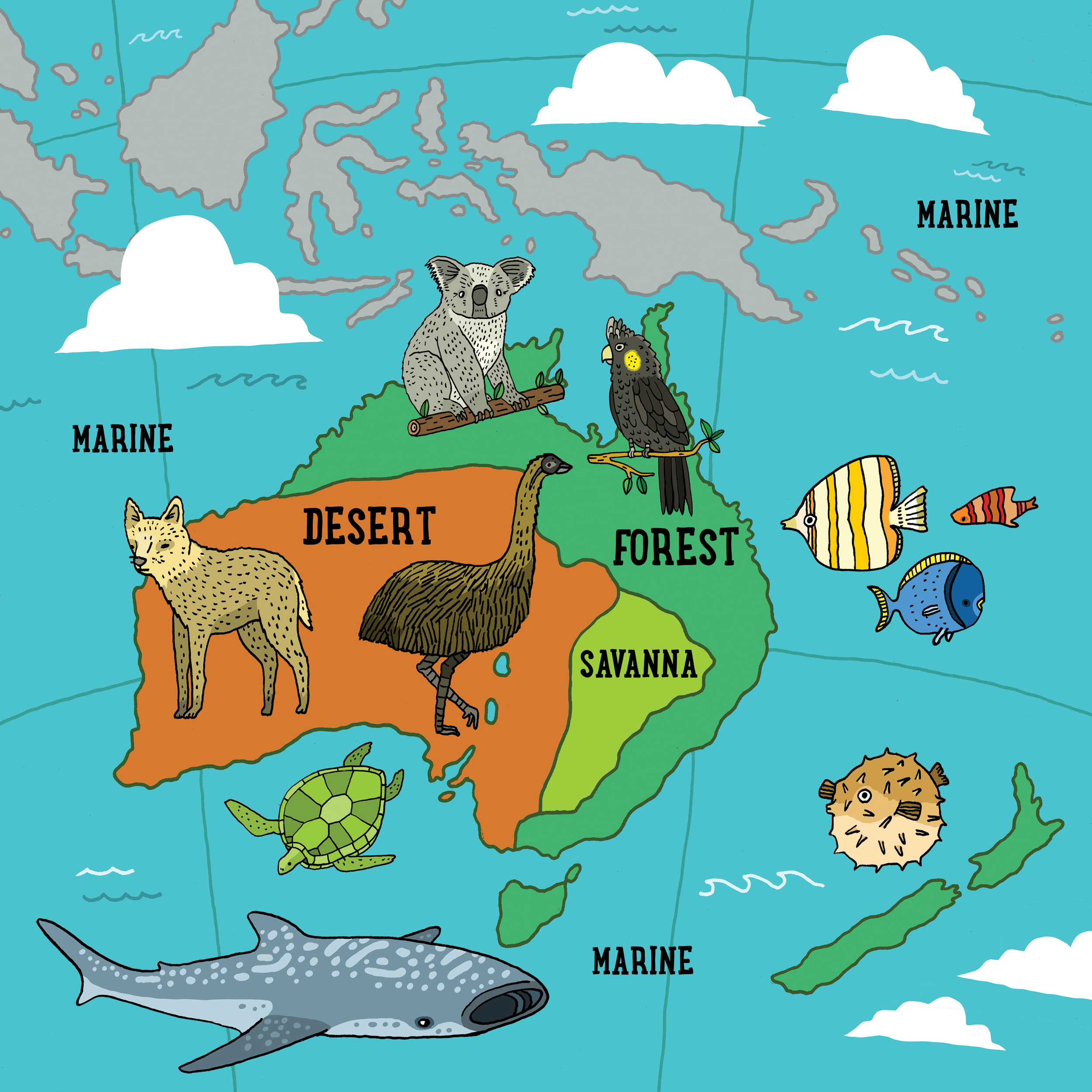 australia-biome-flat.jpg