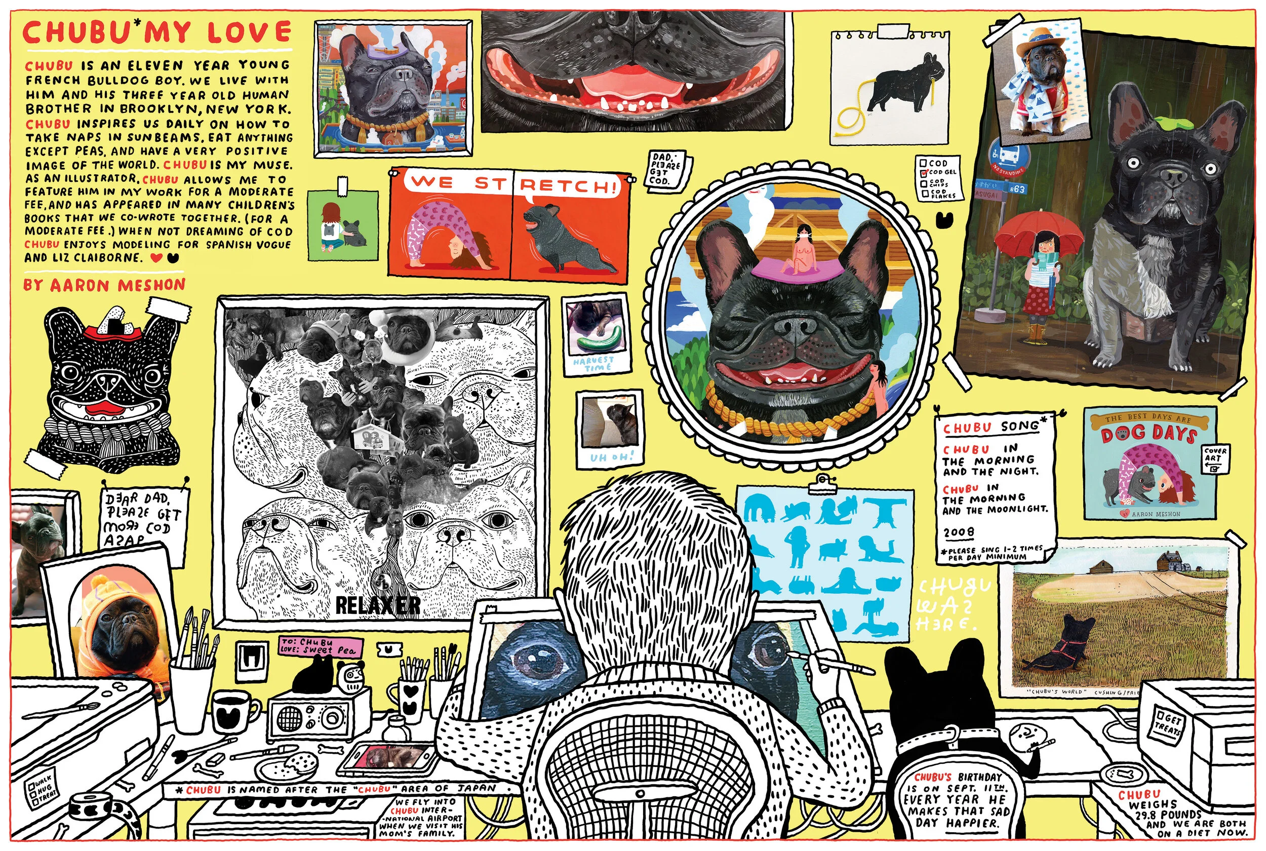 meshon-bark-final-chubu-website.jpg