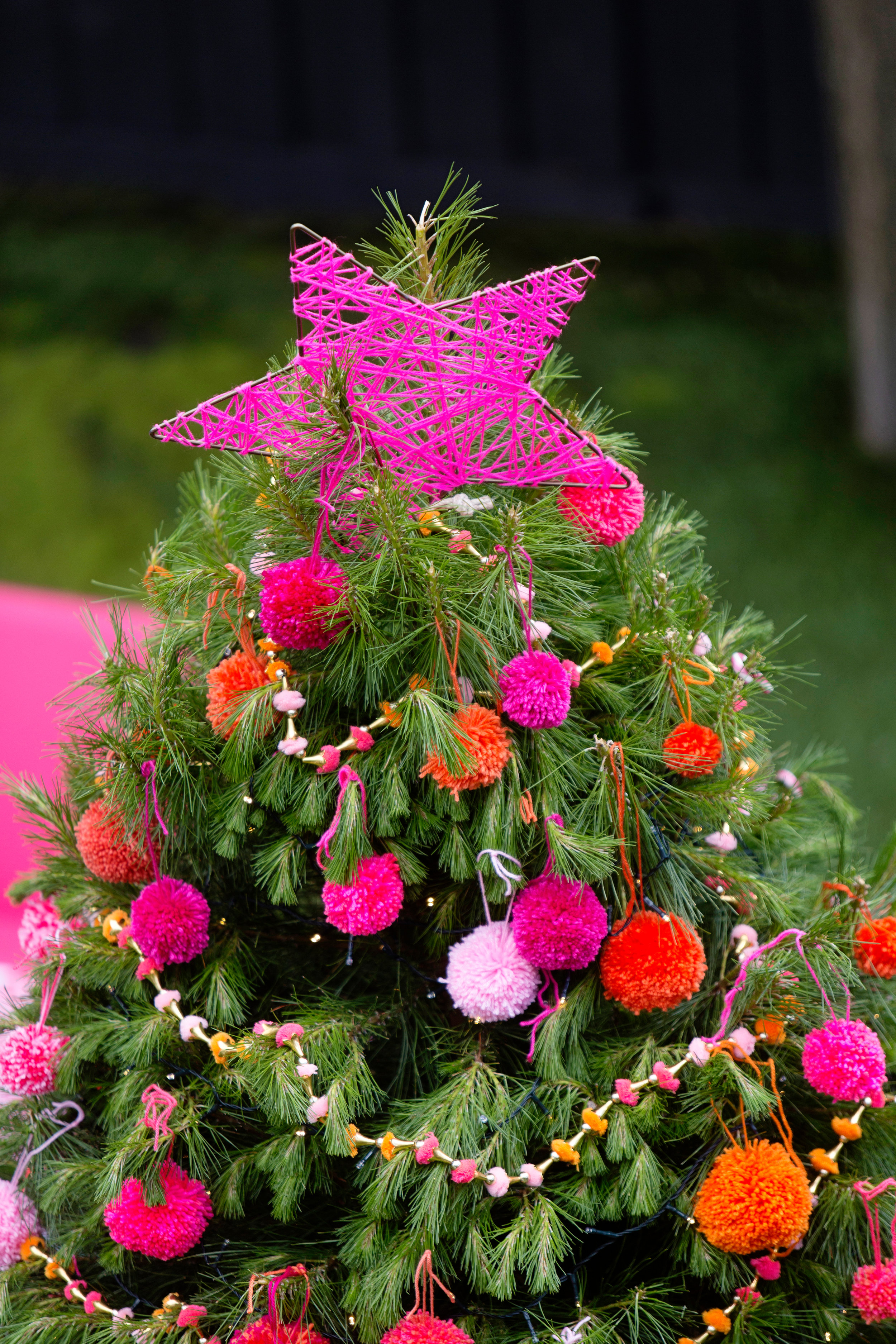 Pom Pom Tree 016.jpg