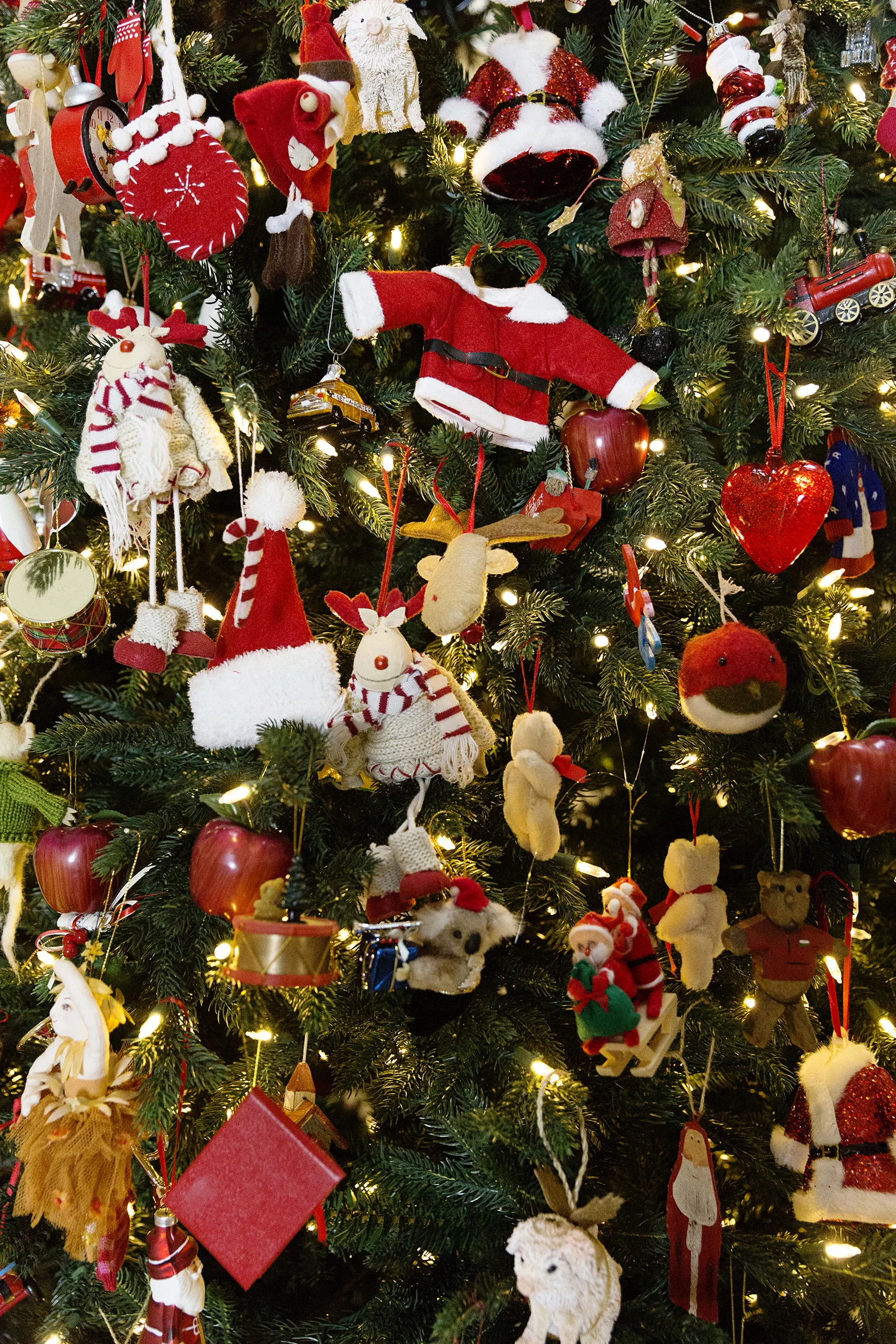 Christmas Tree 002_small.jpg