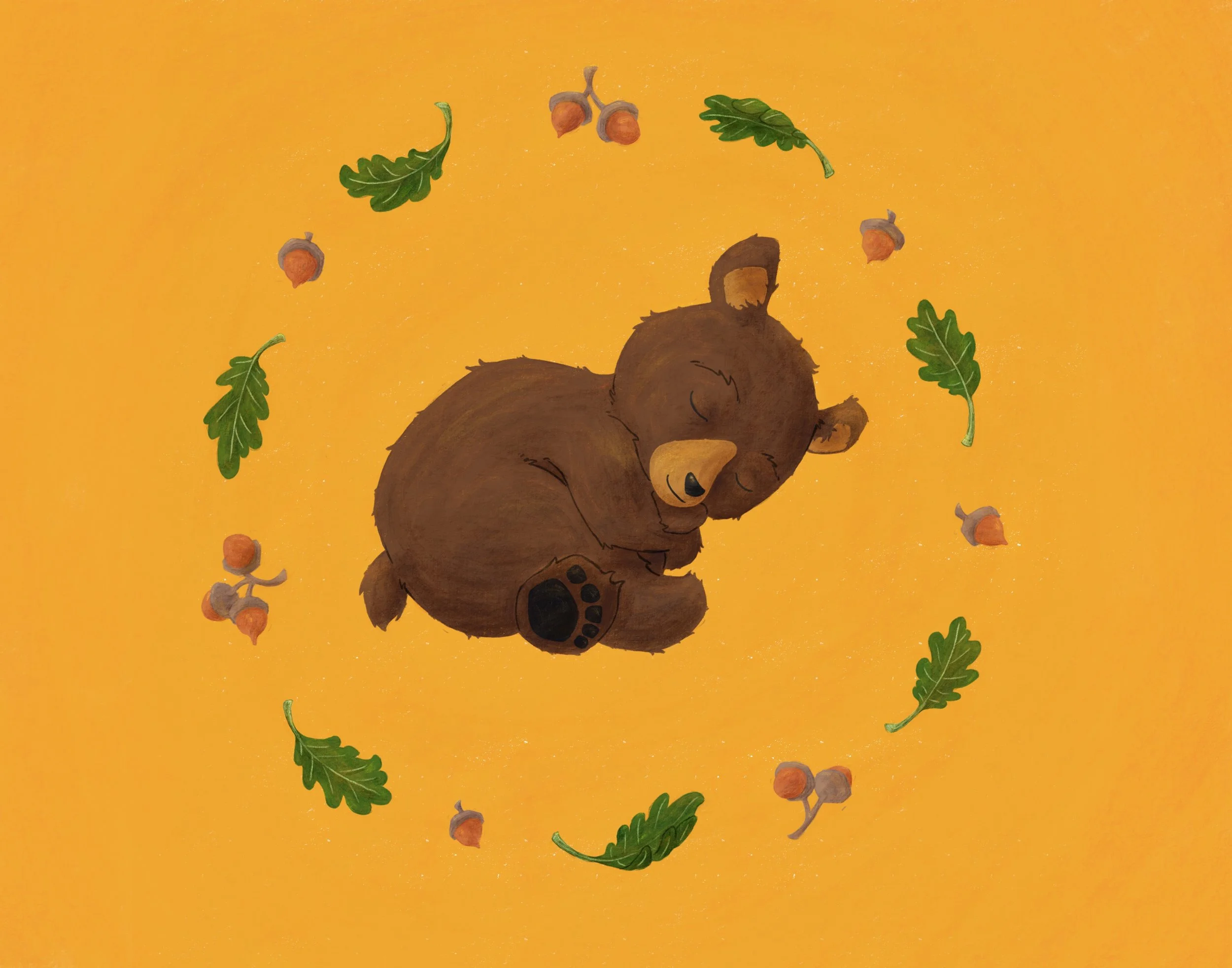 Baby Bear (2018) 11x14 Inches
