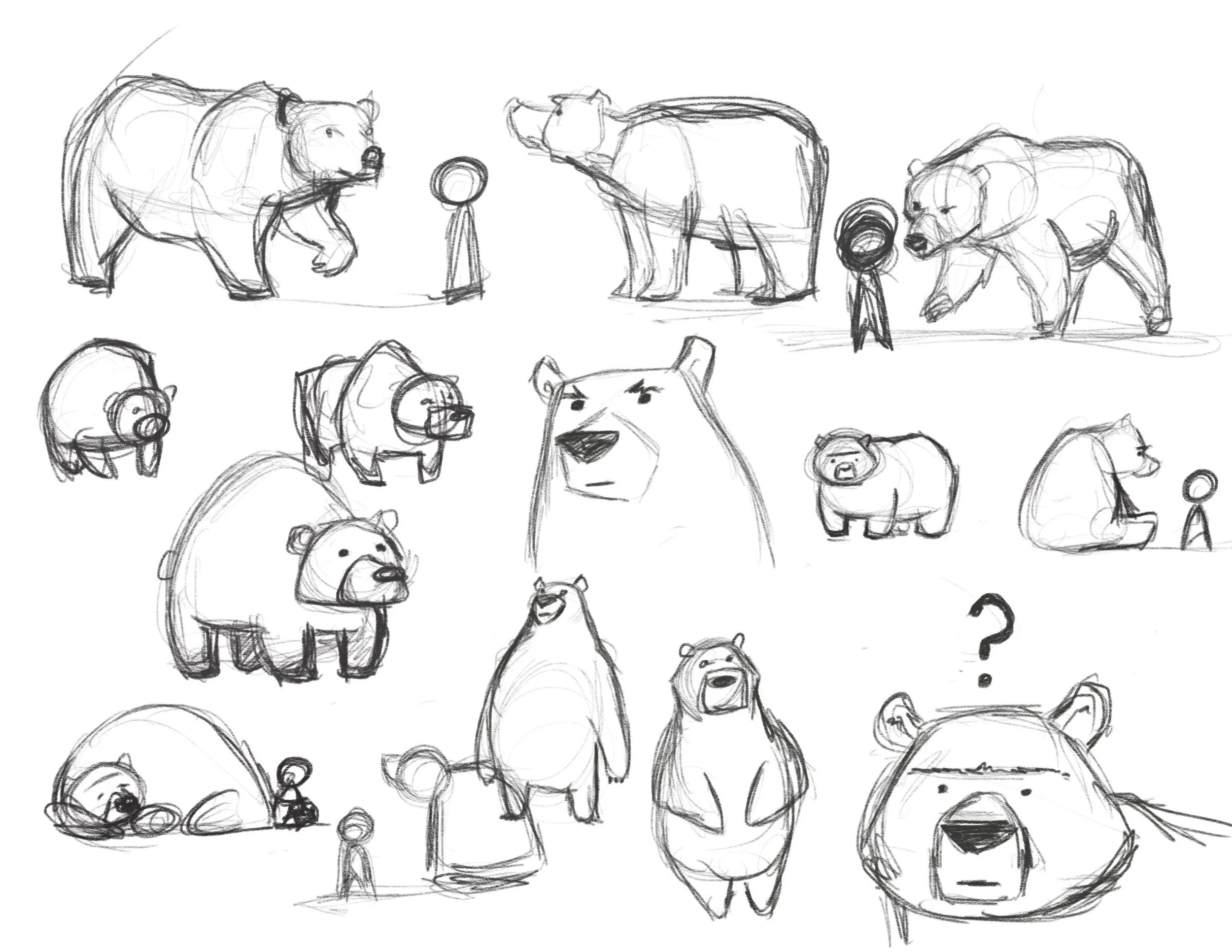 Bear Sketches