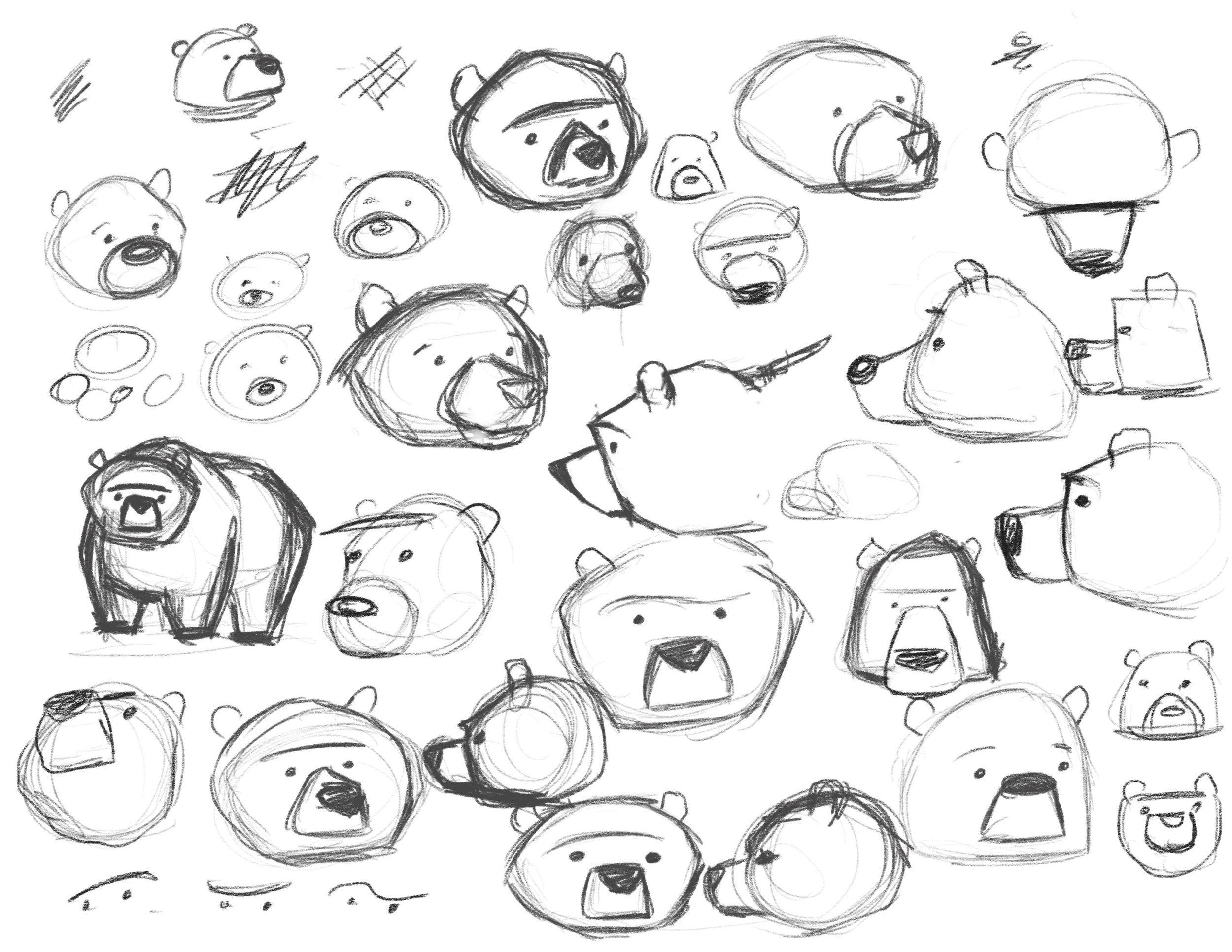 Bear Facial Sketches