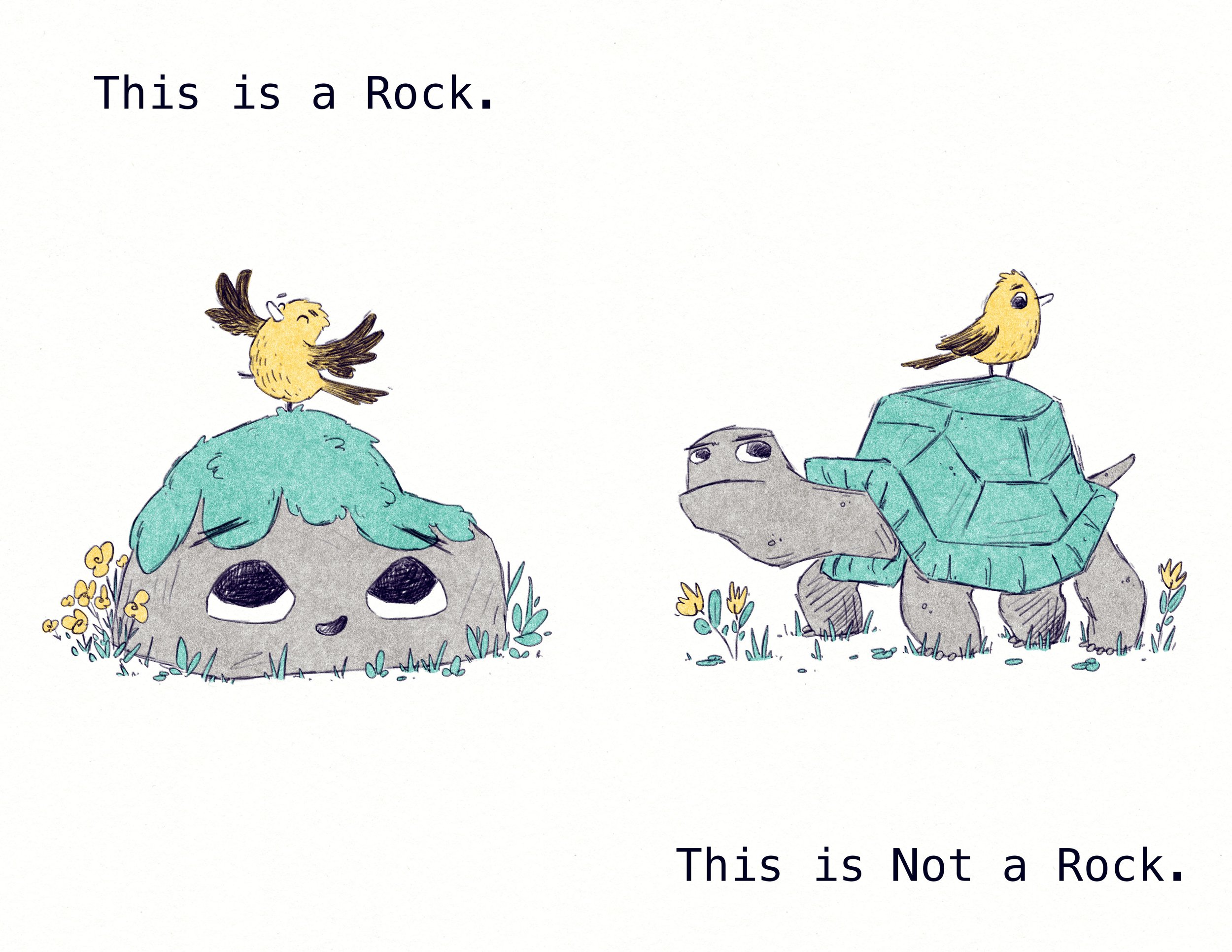 This is A Rock 