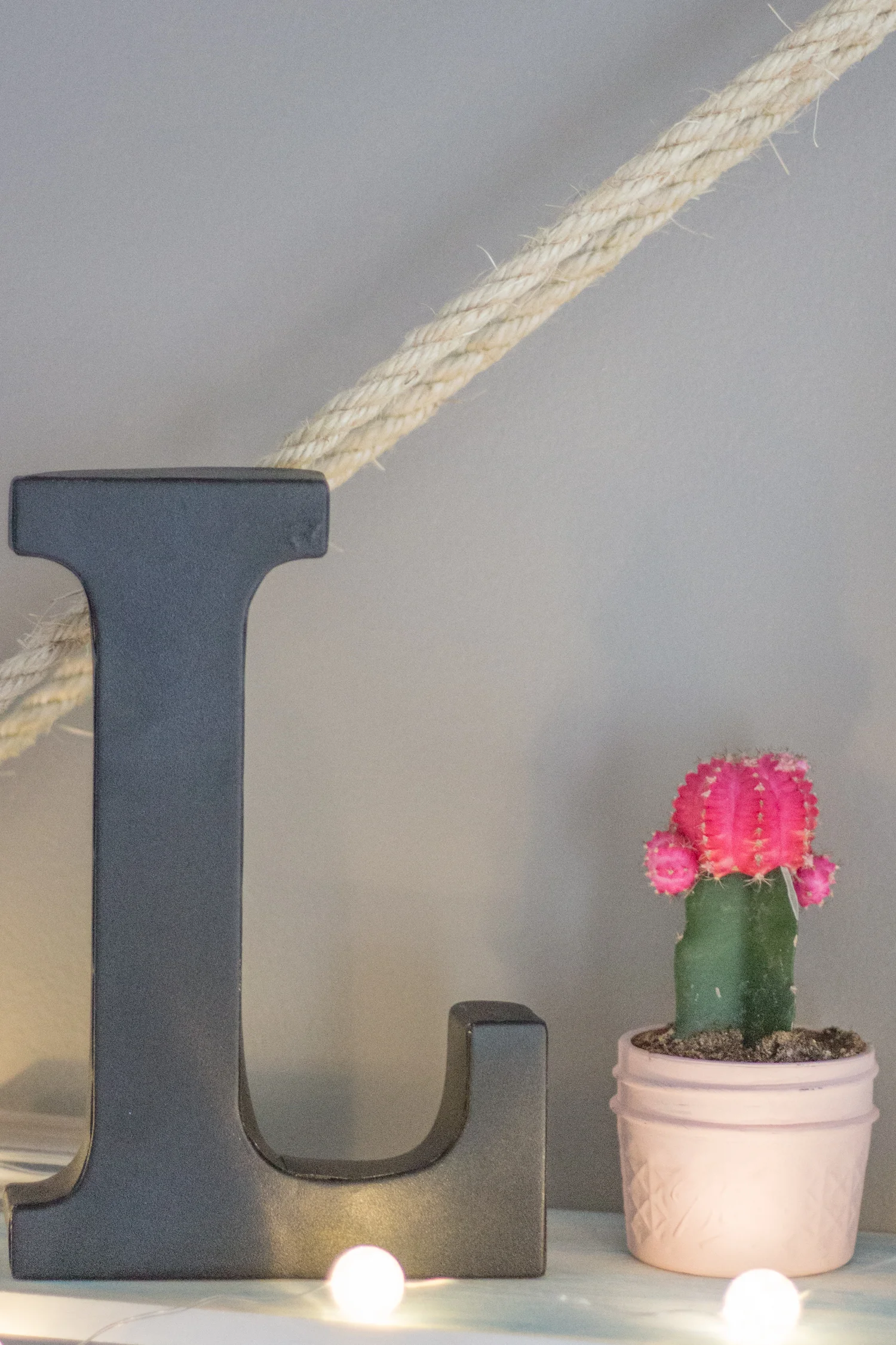 DIY Hanging Shelves.jpg