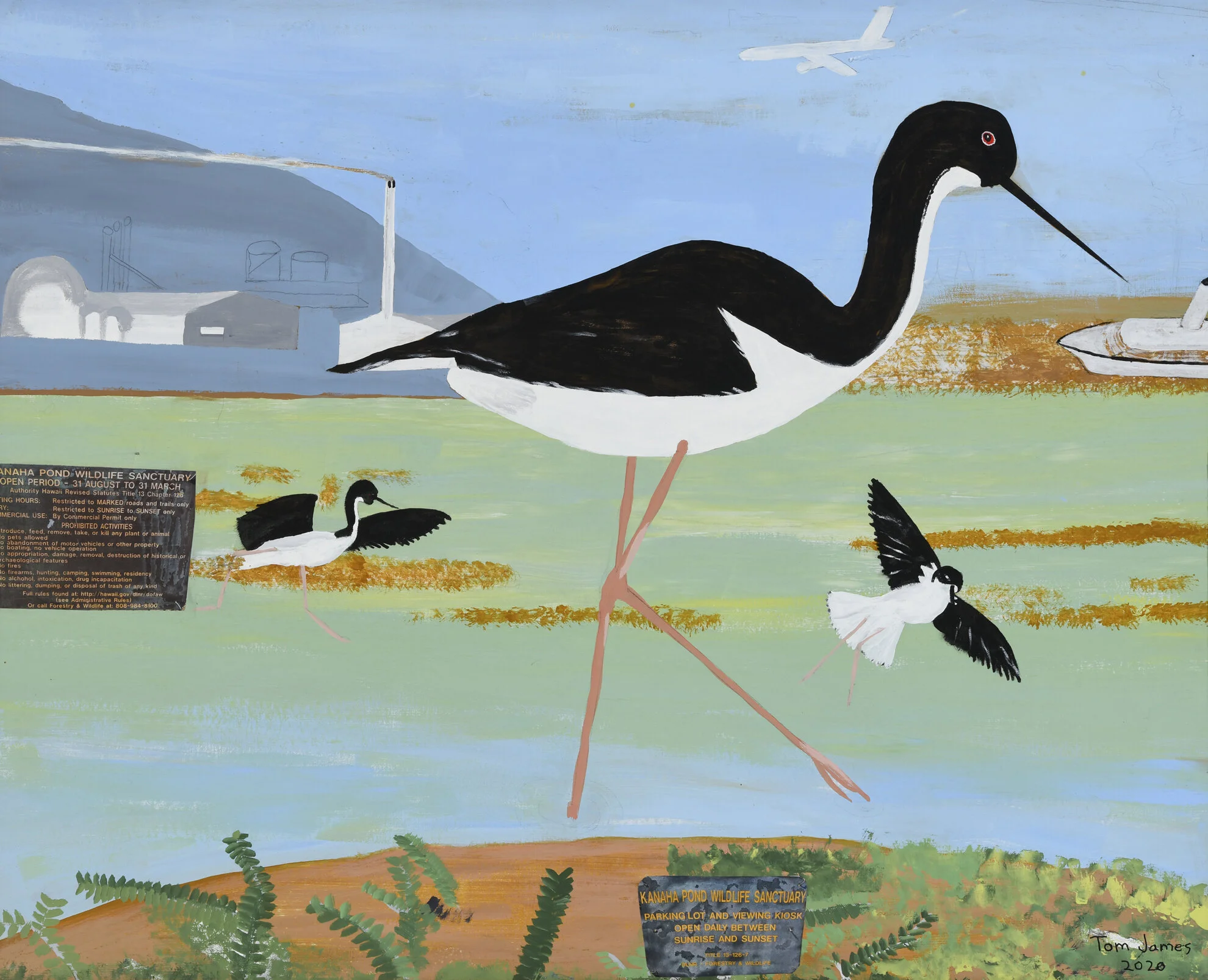 Thomas James-Hawaiian Stilt | $500 | 32″x 26″