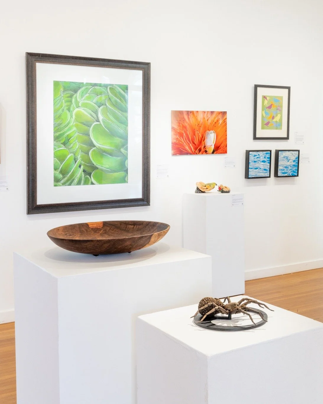 Mālama Wao Akua is coming up, and priority registration closes TONIGHT, August 25, at midnight.

If you&rsquo;ve been creating something inspired by Maui Nui&rsquo;s native plants, animals, landscapes, or watersheds, this is your chance to be part of