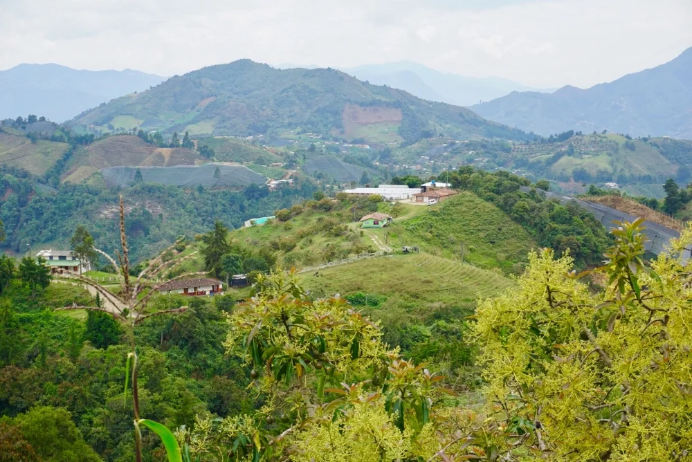 Jericó, Antioquia.