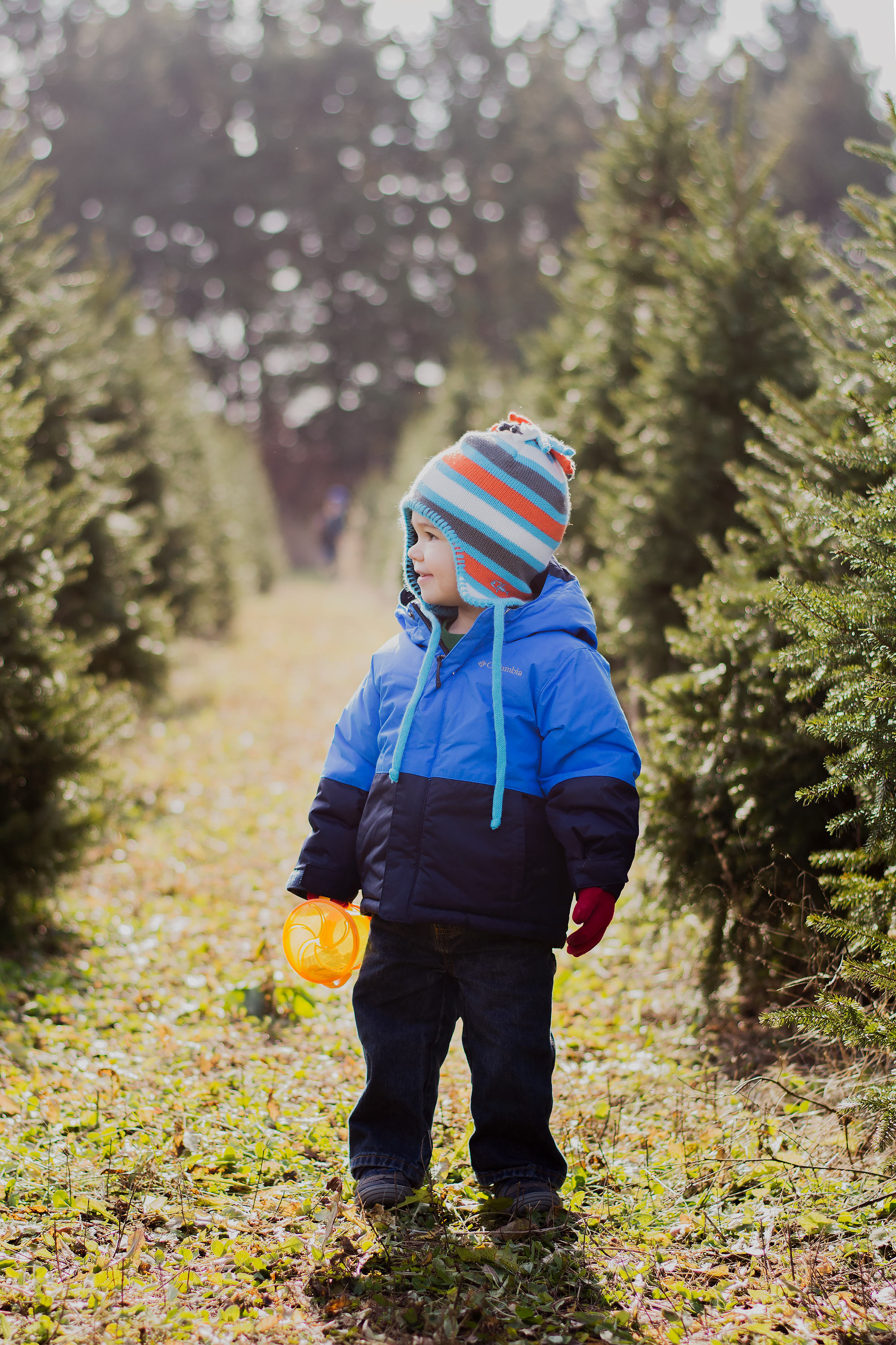 Christmas Trees and Taking Breaks