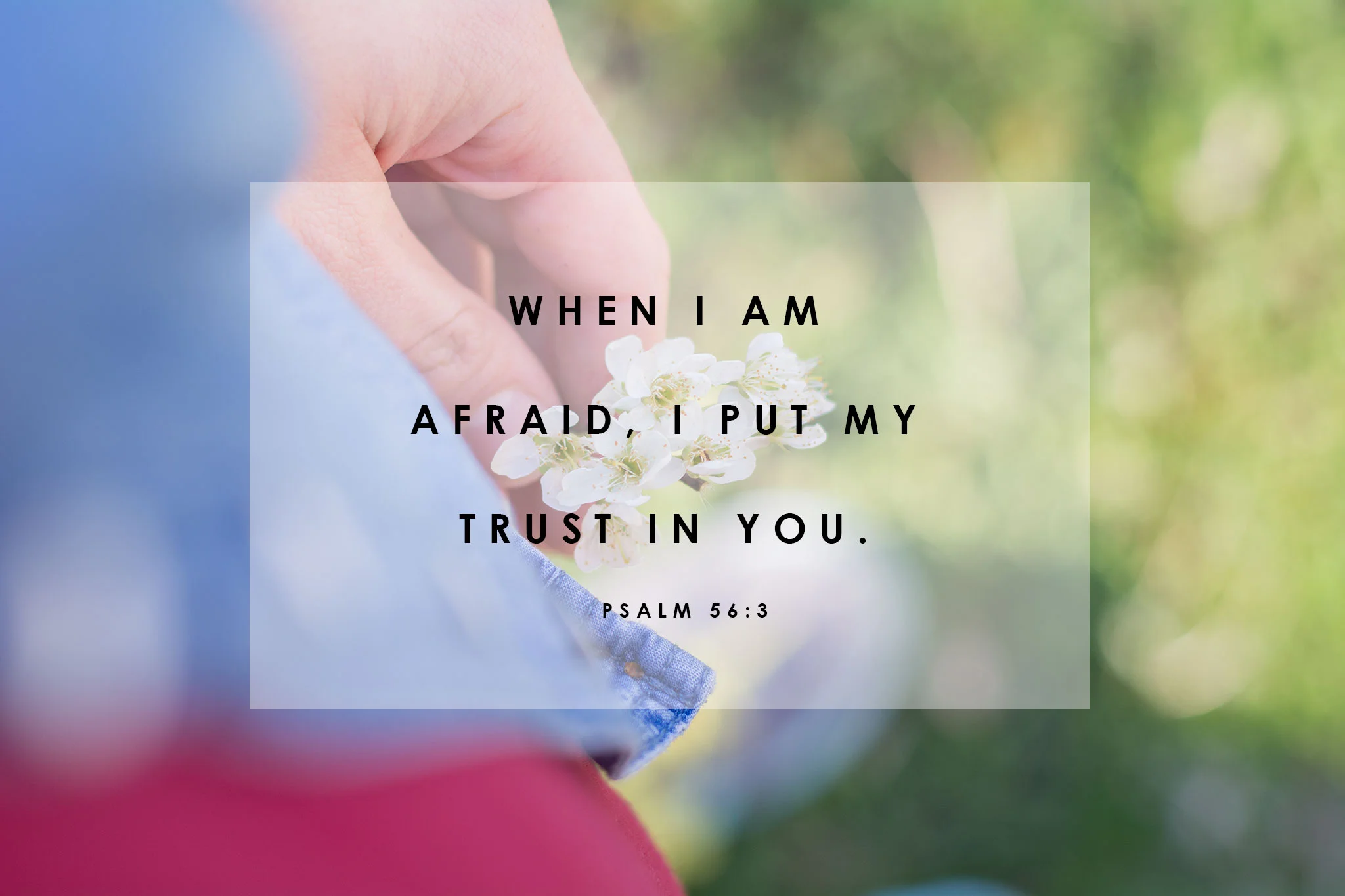 The Cure for Fear