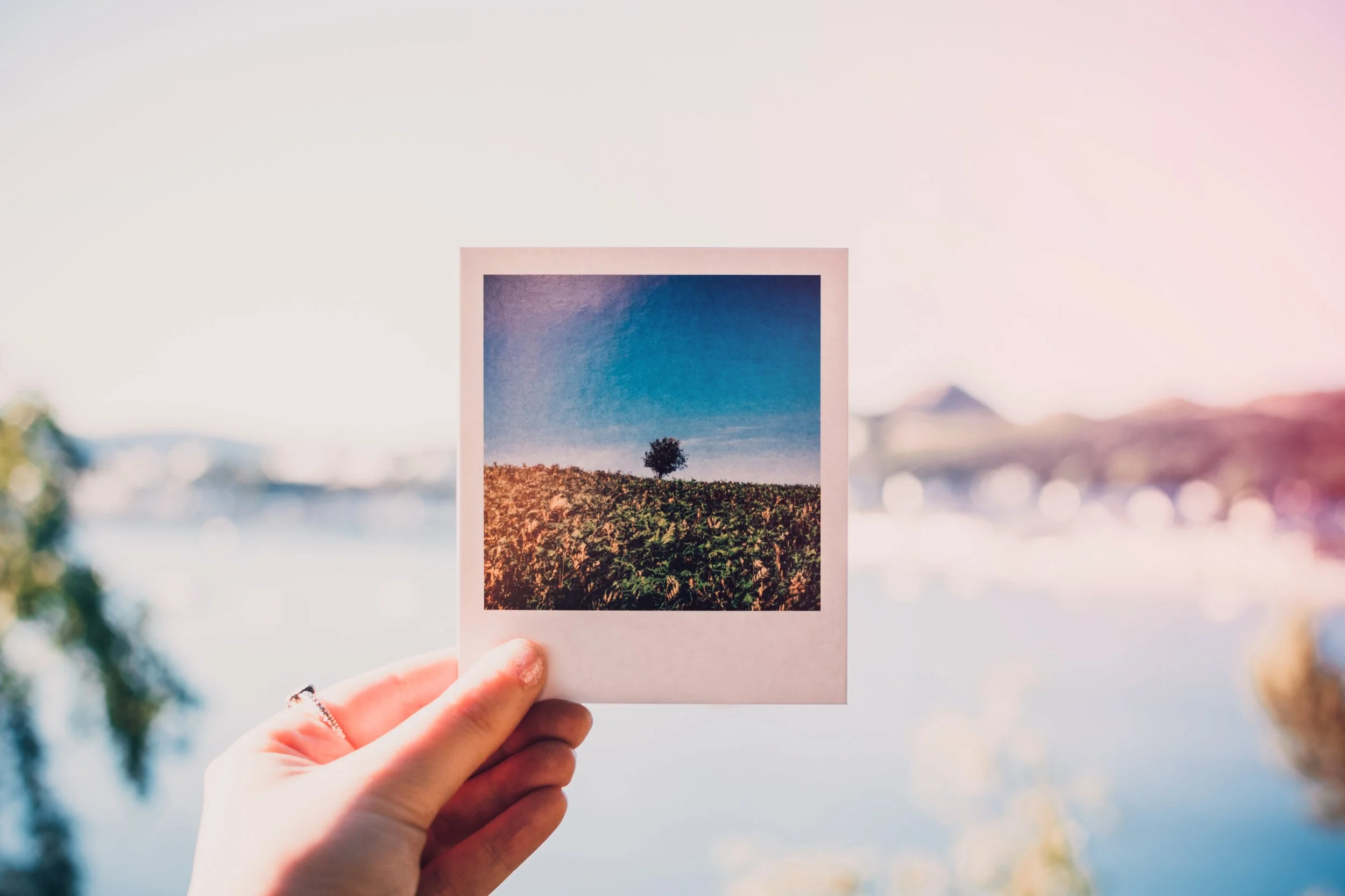 beautiful-bright-hand-1252983.jpg
