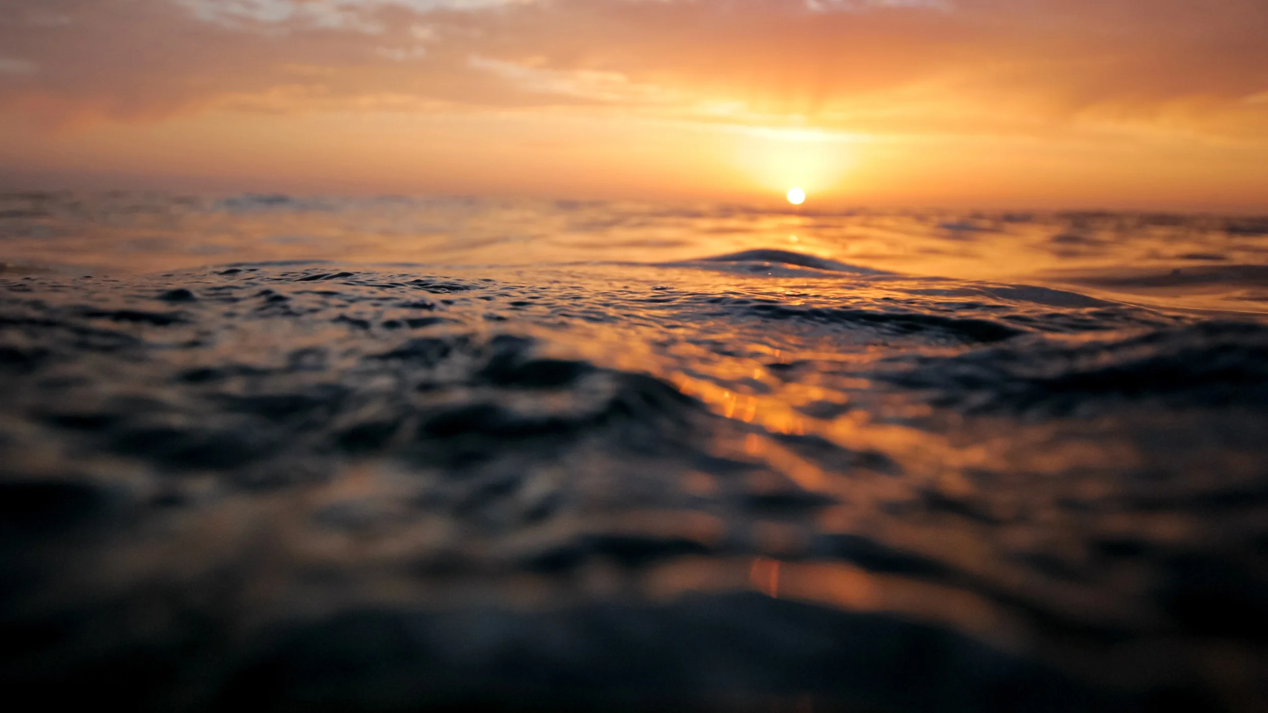 waterHorizon.jpeg