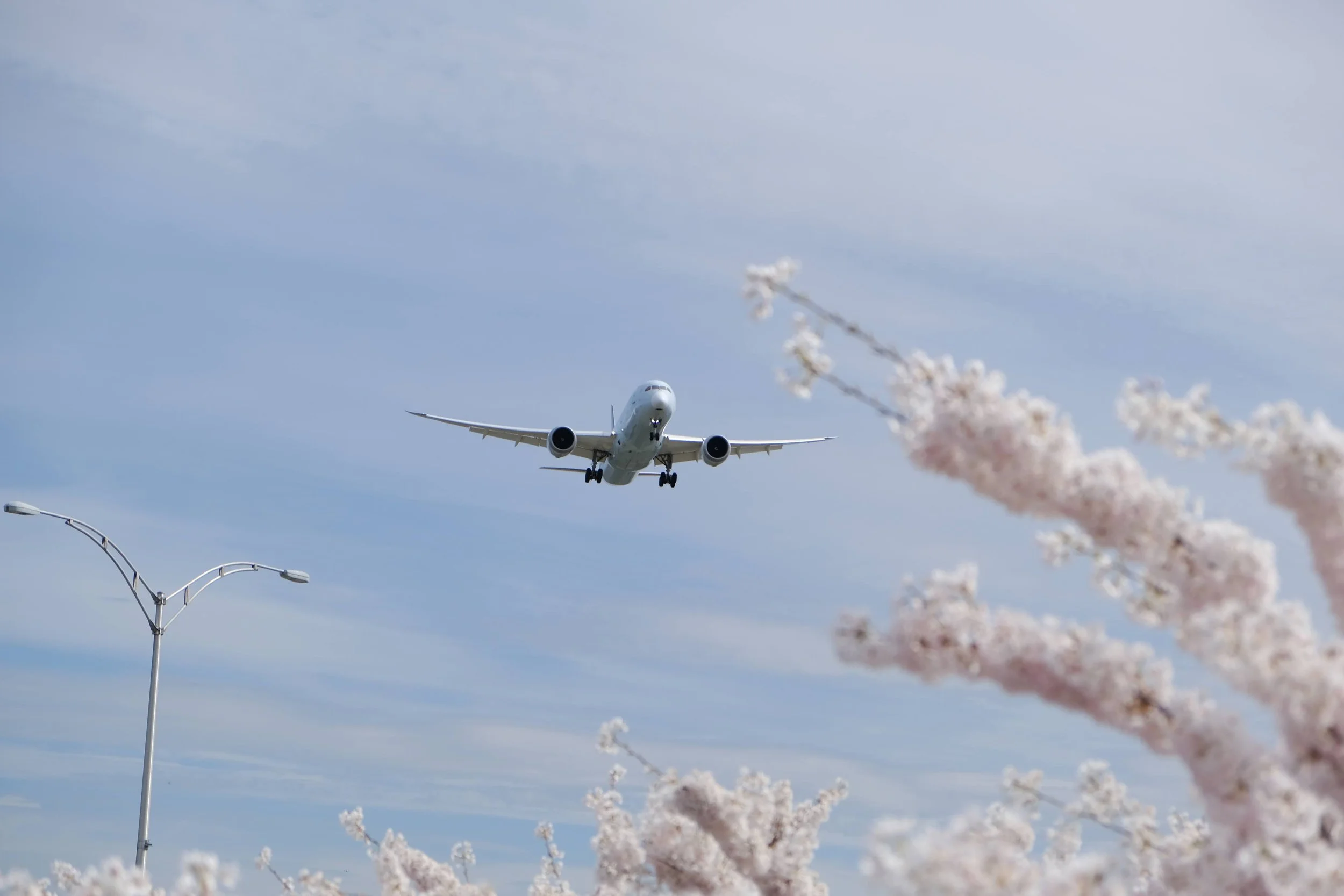 Copy of Chen_Lillian_1_Landing - Lillian Chen.JPG