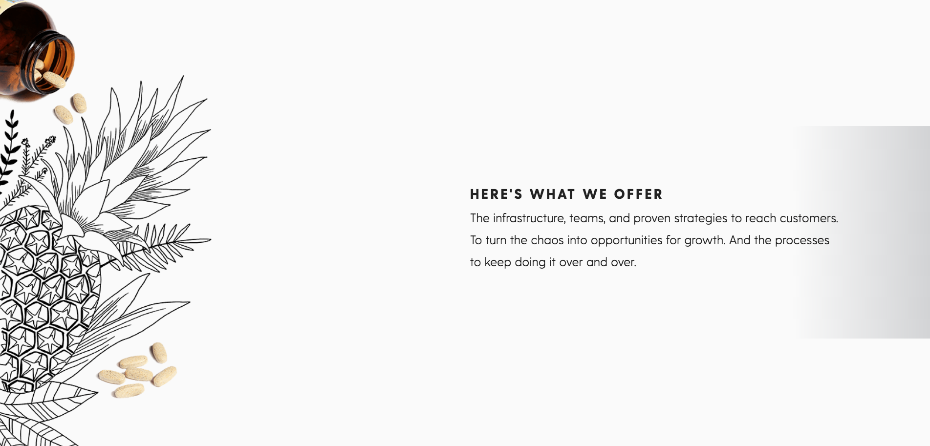 Screen Shot 2018-08-12 at 5.13.47 PM.png