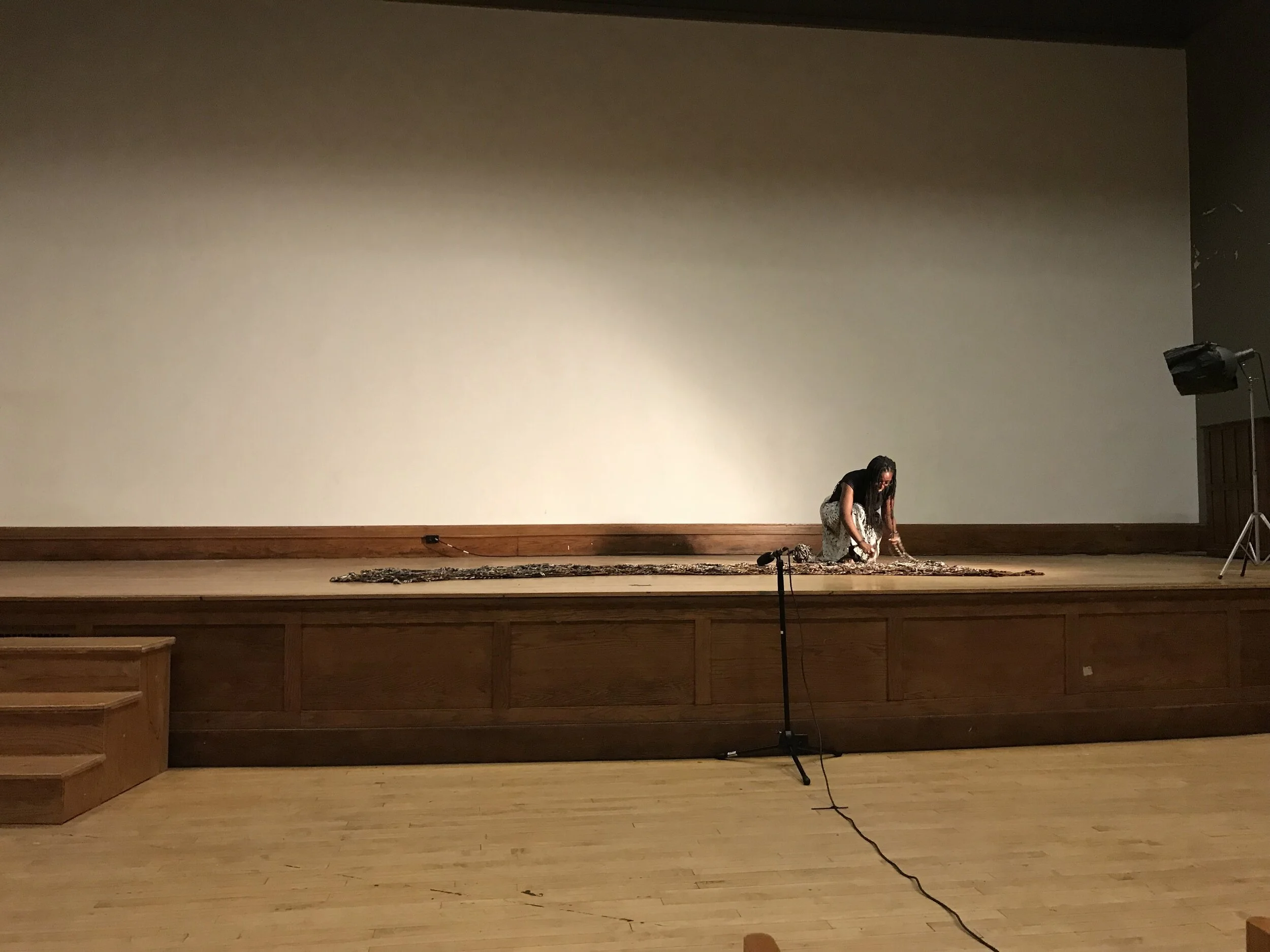 03 Sadie Audit Pic.jpeg