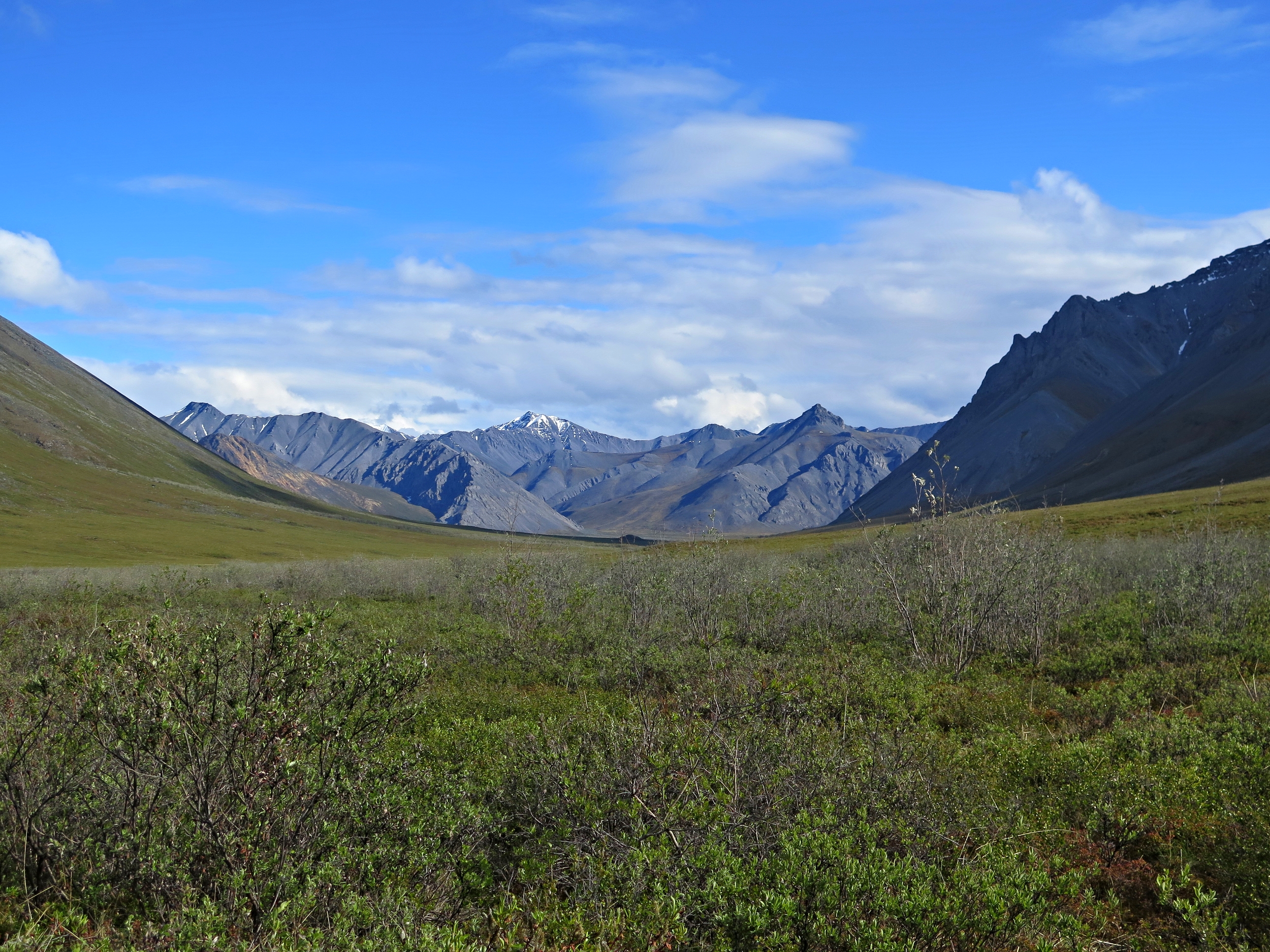 Upper Red Sheep Creek