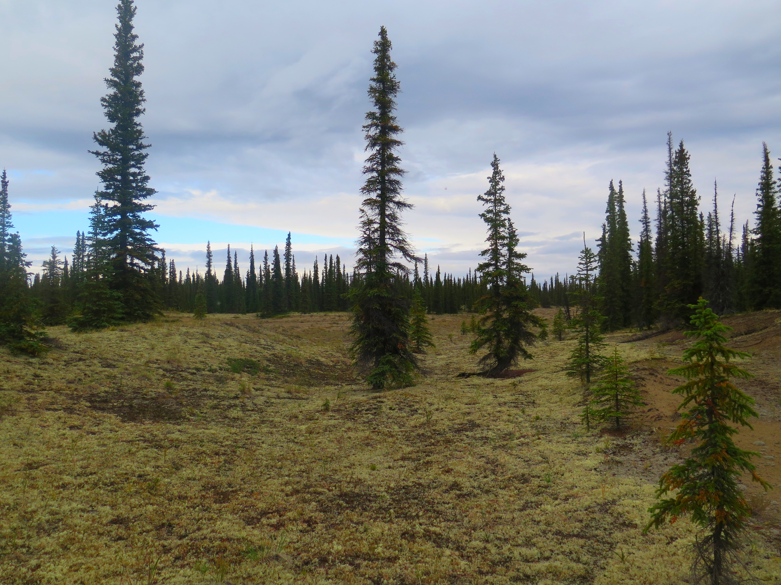 Kobuk Valley