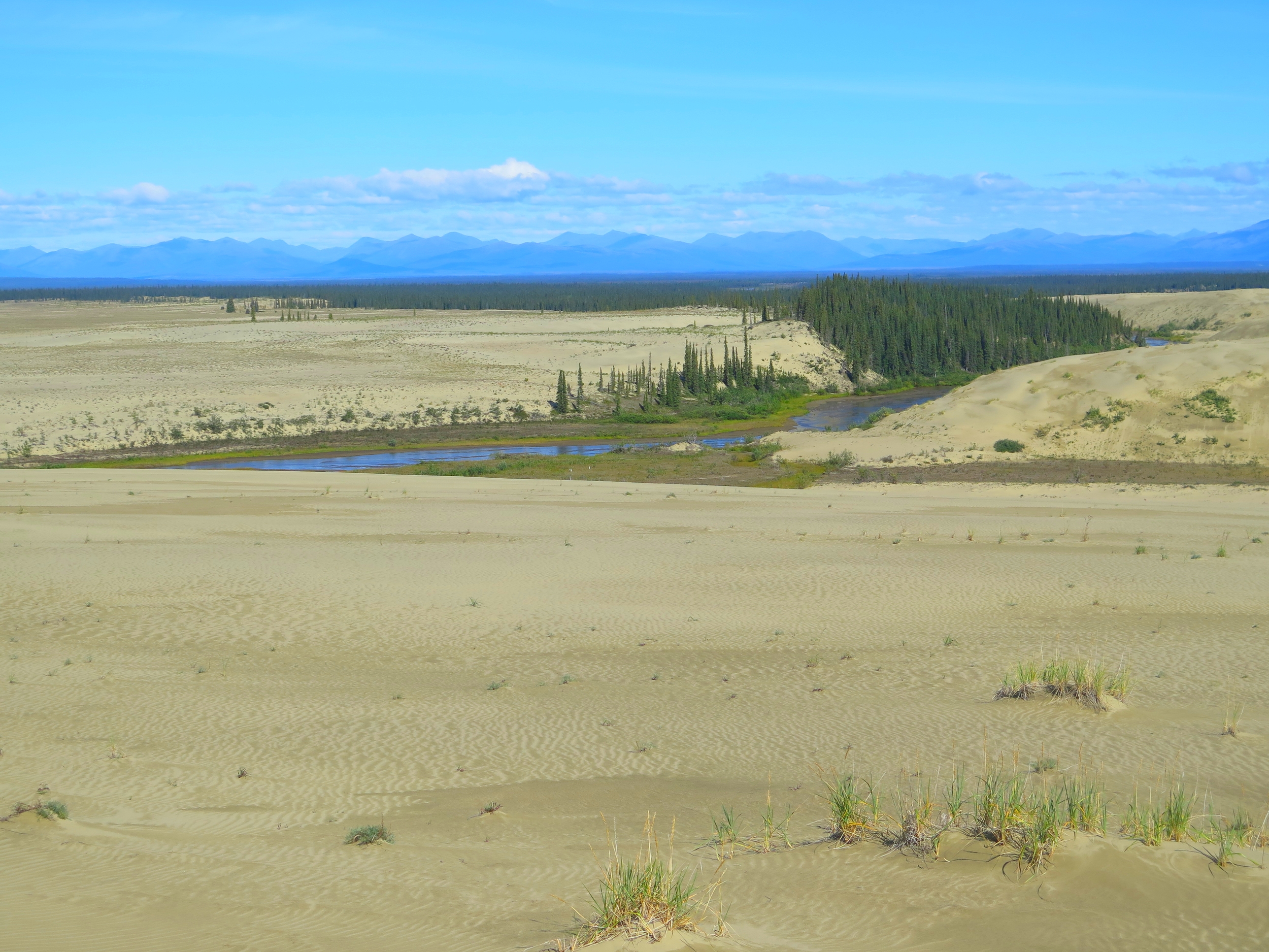 Oasis in the Desert