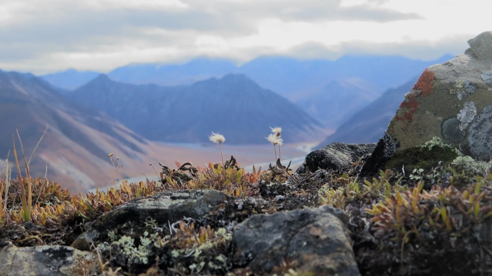 Brooks Range scenery