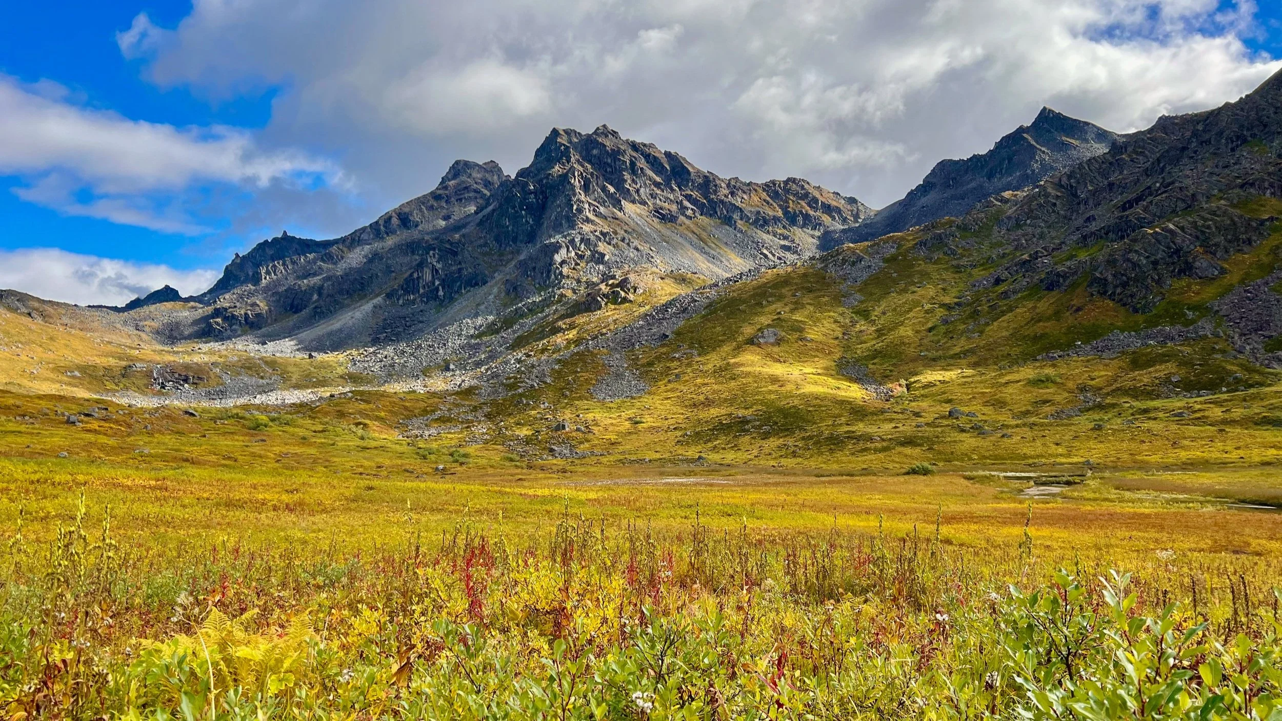 Fall in the Talkeetnas