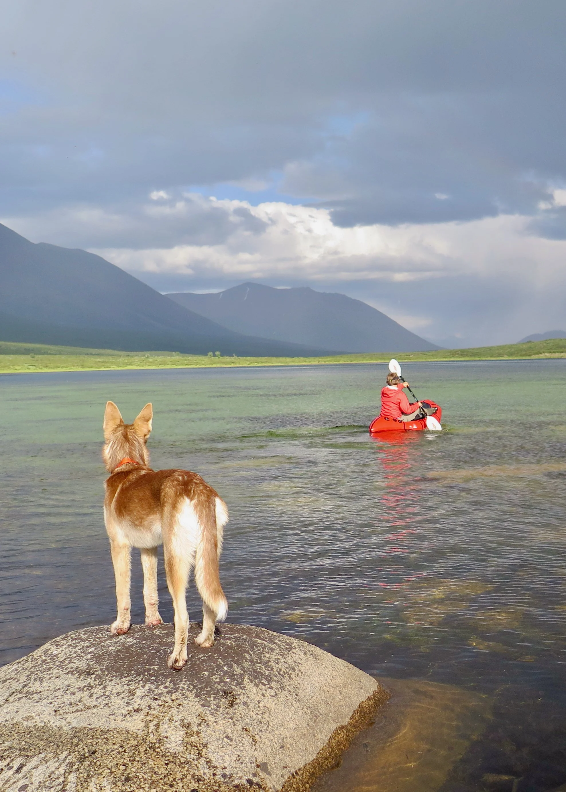 Northwest Territories - Puppy Packrafting