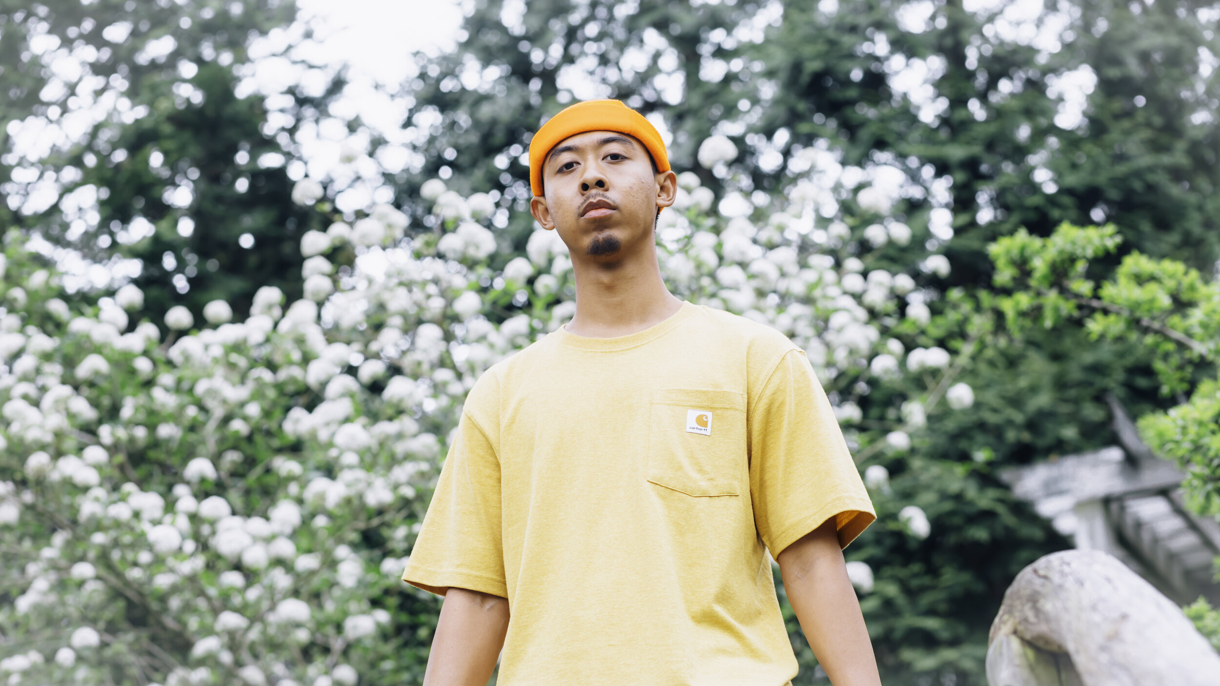 Quarantined Gardens [March 2020 Portrait], 3.22.20