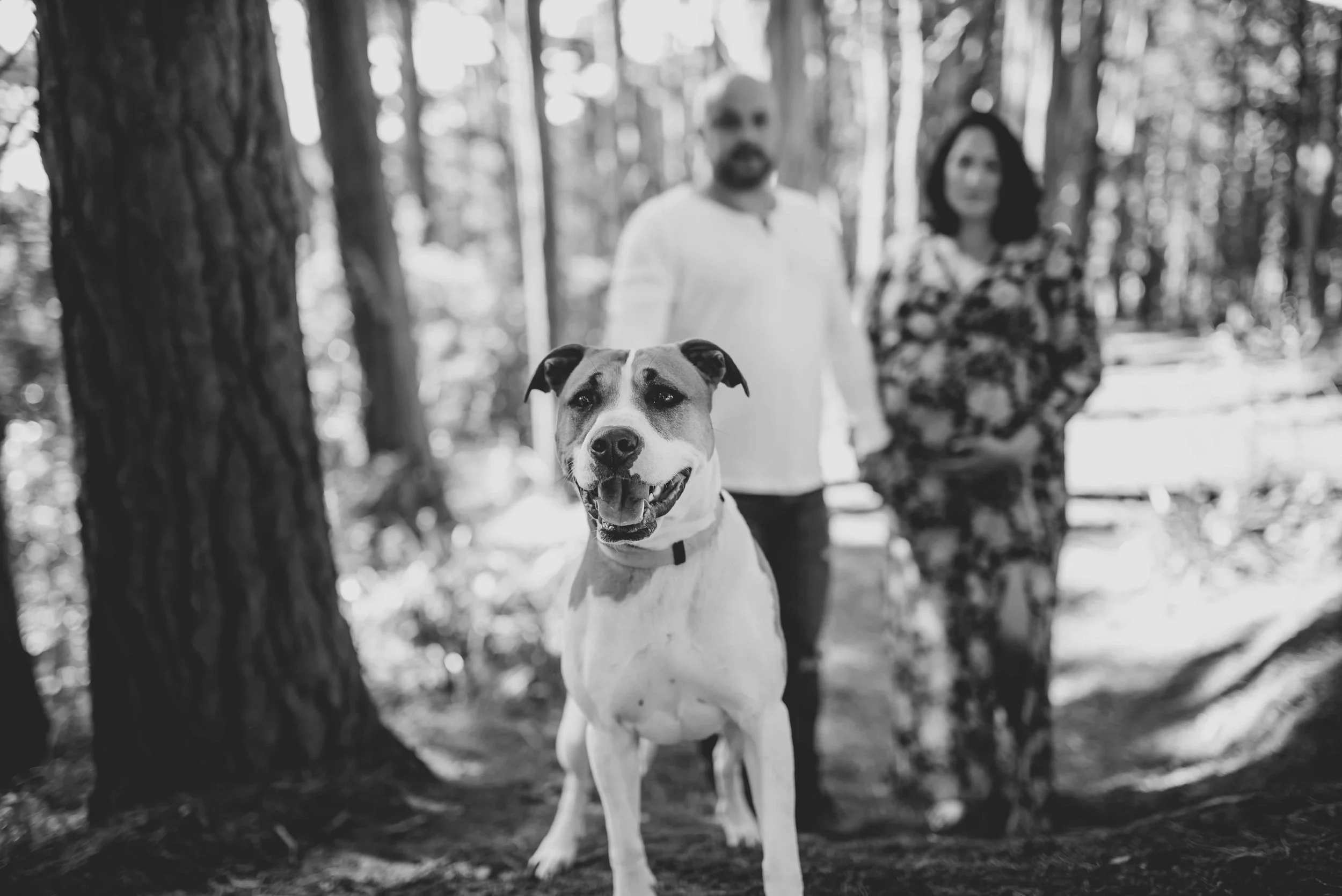 T-D-Maternity-Photography-02.jpg