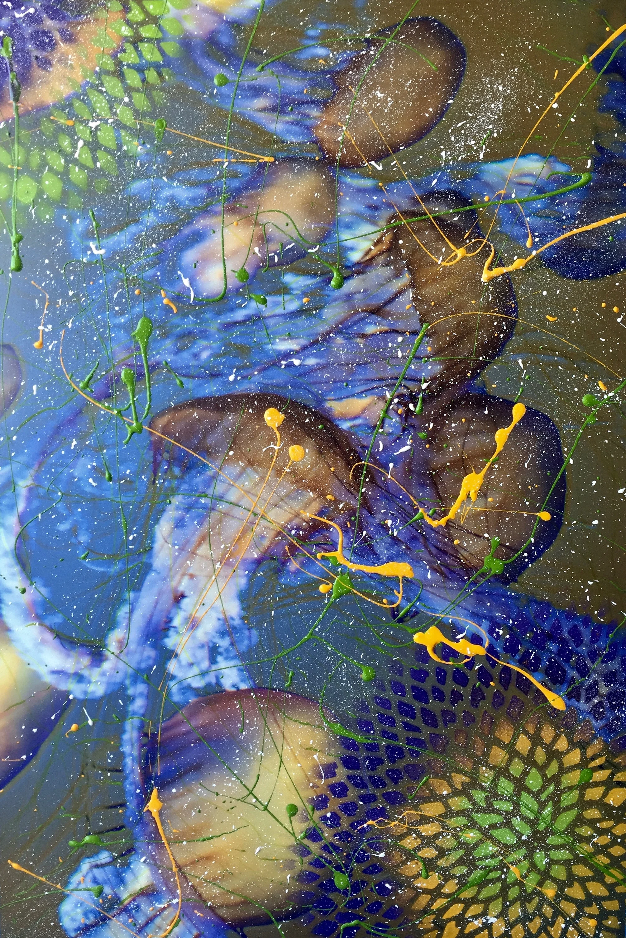 MEDUSAS EN BUSQUEDA