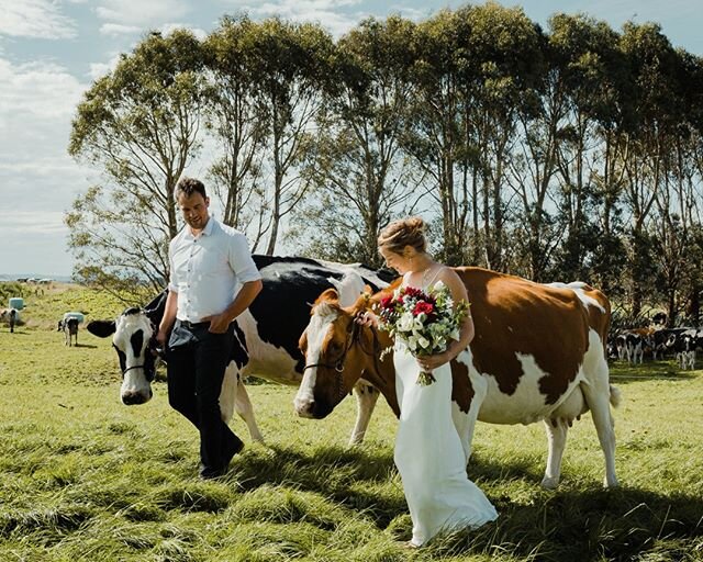 I've seen some very beautiful bridesmaids over the years but these girls take the biscuit.⠀⠀⠀⠀⠀⠀⠀⠀⠀
⠀⠀⠀⠀⠀⠀⠀⠀⠀
This was Anna &amp; Pete's gorgeously relaxed wedding - proving that doing it your way is always the best way. x⠀⠀⠀⠀⠀⠀⠀⠀⠀
⠀⠀⠀⠀⠀⠀⠀⠀⠀
And love