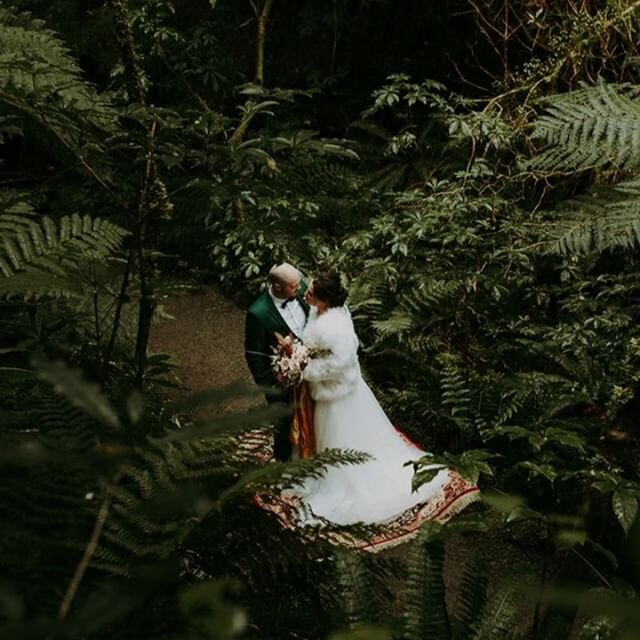 There's something pretty special about NZs native bush -  check out those mighty ferns!  The walk down to #purakanuifalls is so beautiful and that green suit fits in perfectly.⠀⠀⠀⠀⠀⠀⠀⠀⠀
⠀⠀⠀⠀⠀⠀⠀⠀⠀
#nativebush #greensuit #fern #vintagerug⠀⠀⠀⠀⠀⠀⠀⠀⠀
⠀⠀⠀⠀